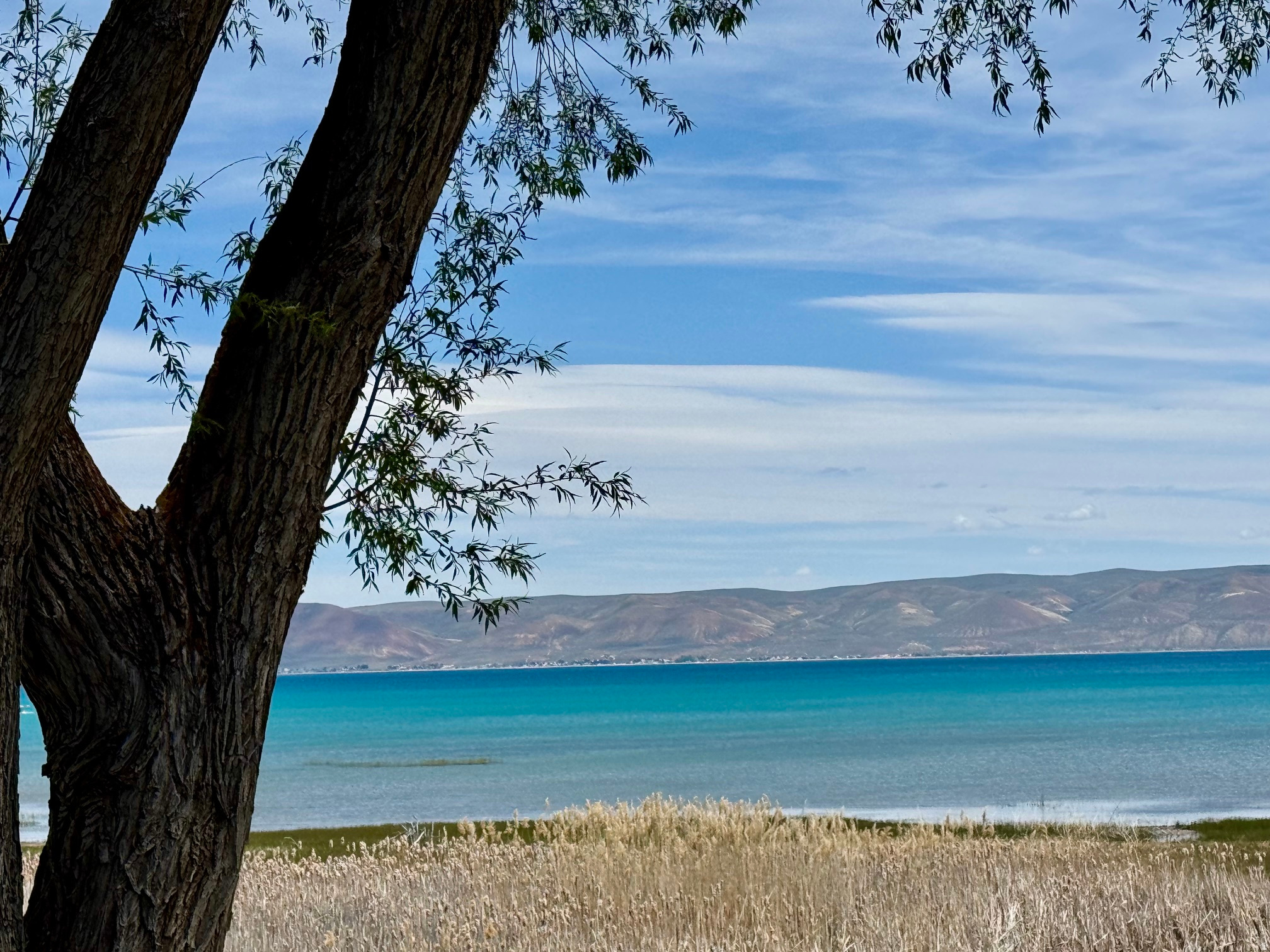 LAKESHORE - Residential