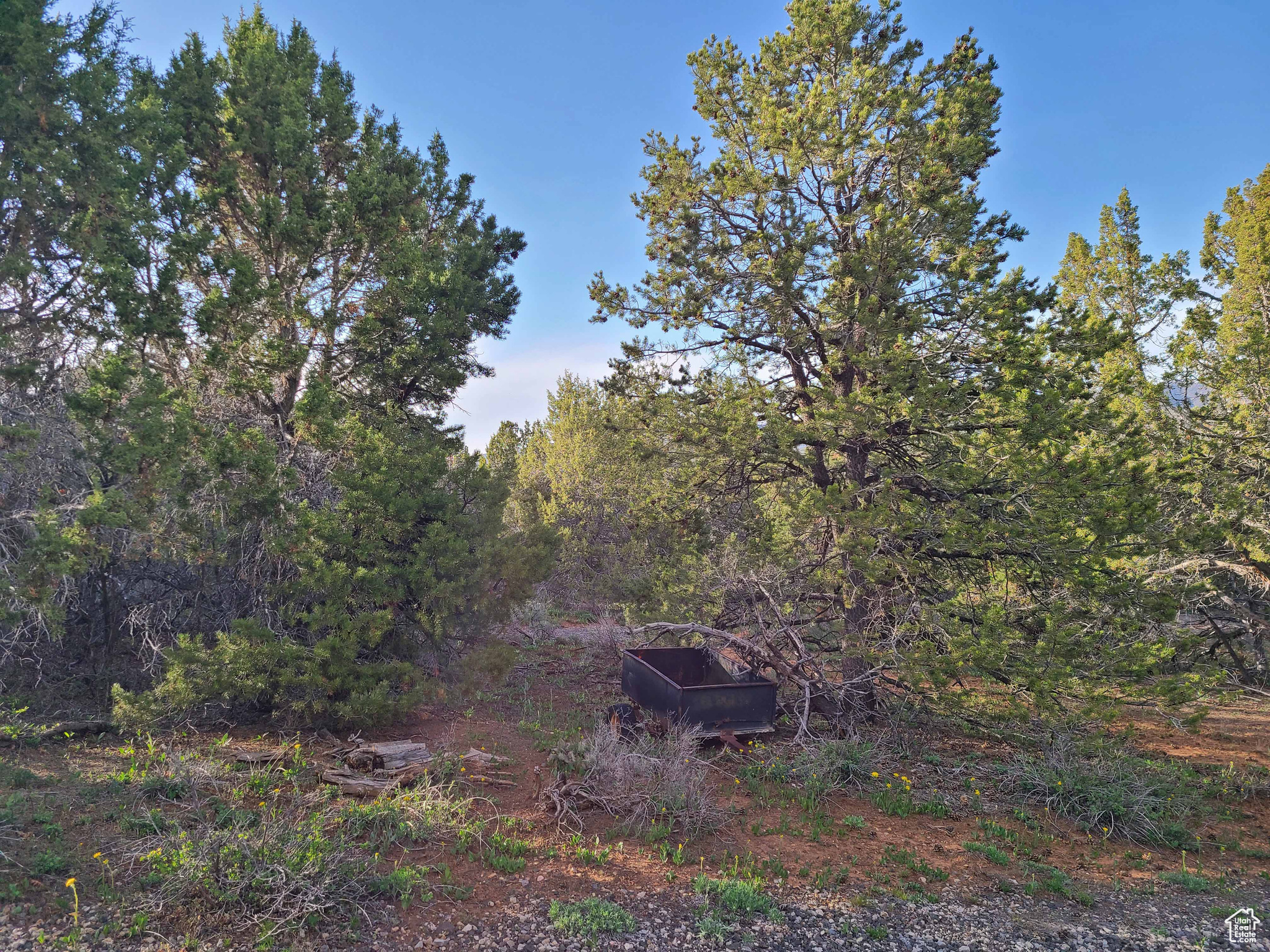 PANORAMA WOODS - Land