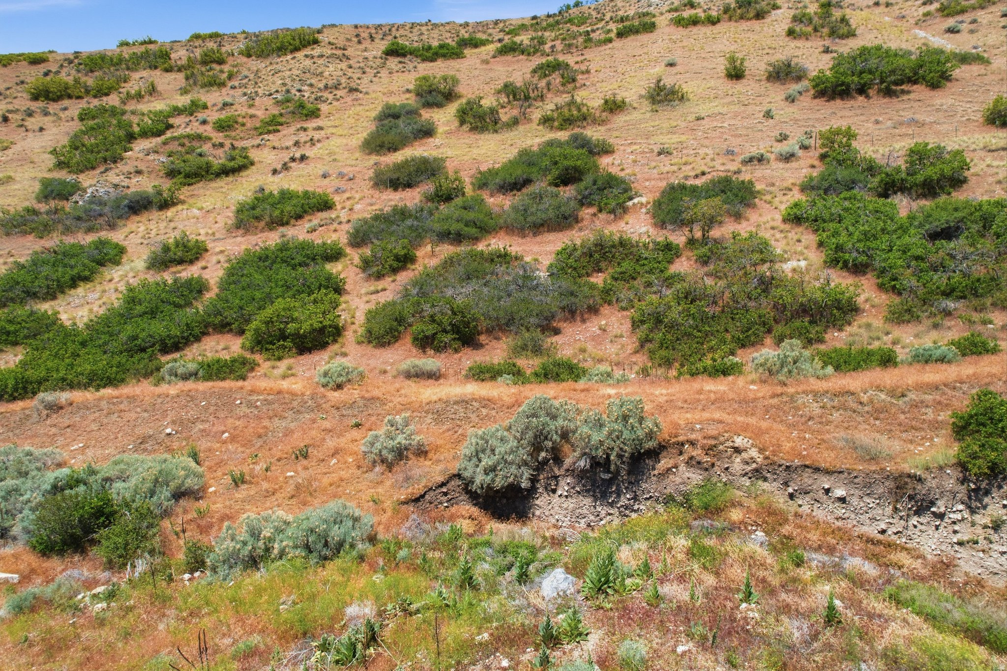 RIDGE - Land
