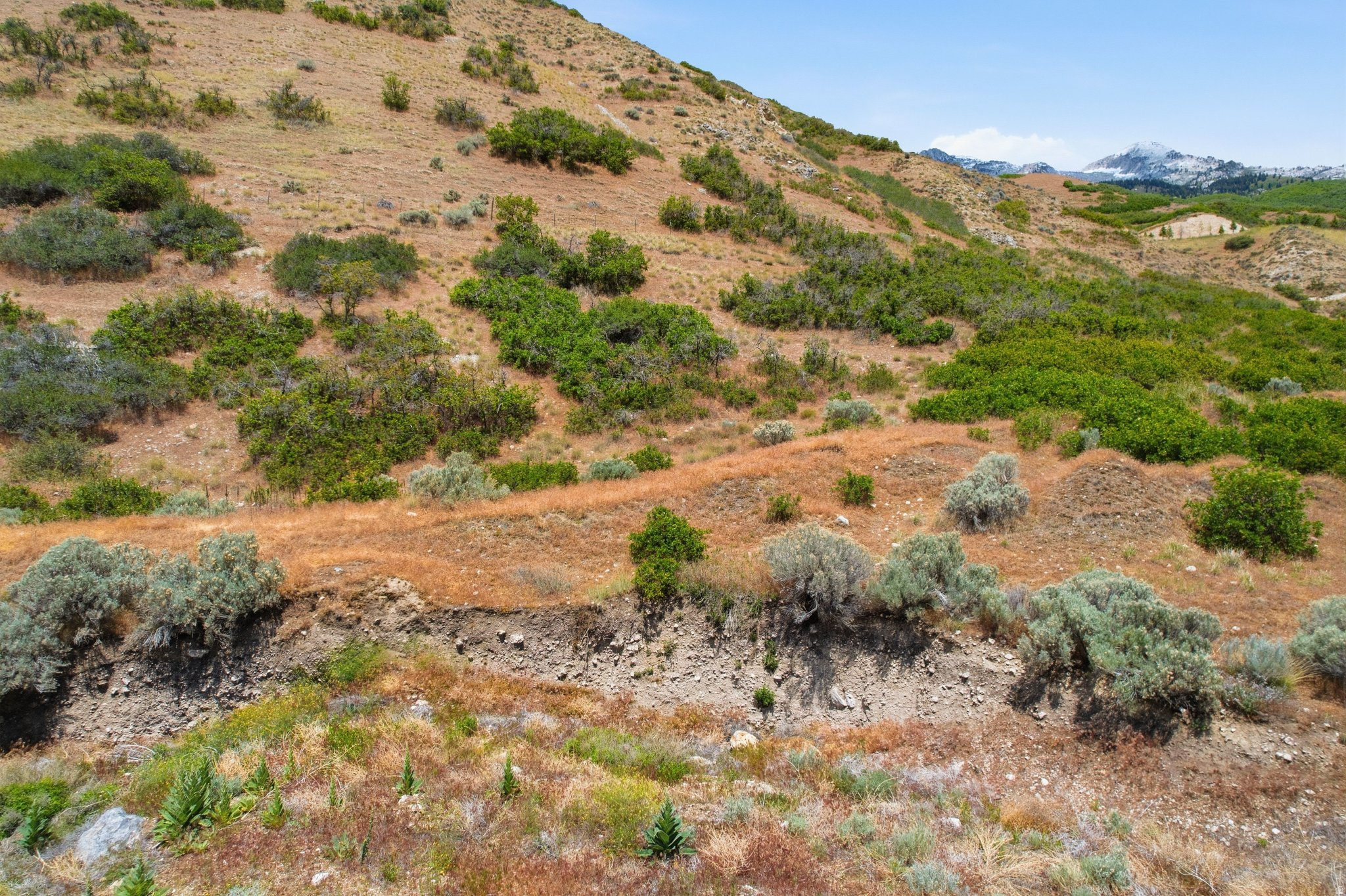 RIDGE - Land