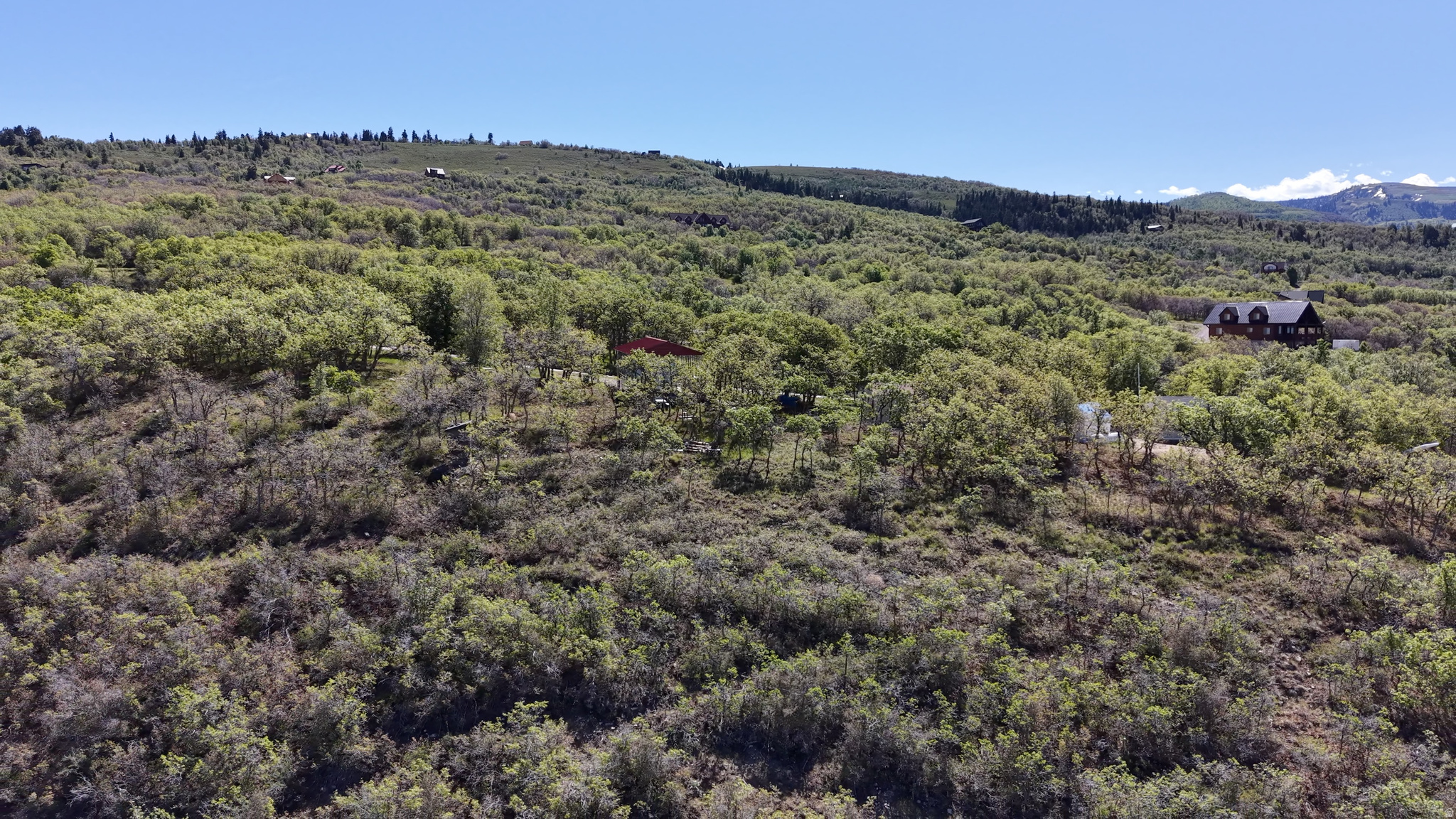 SKYLINE MOUNTAIN RESORT - Land