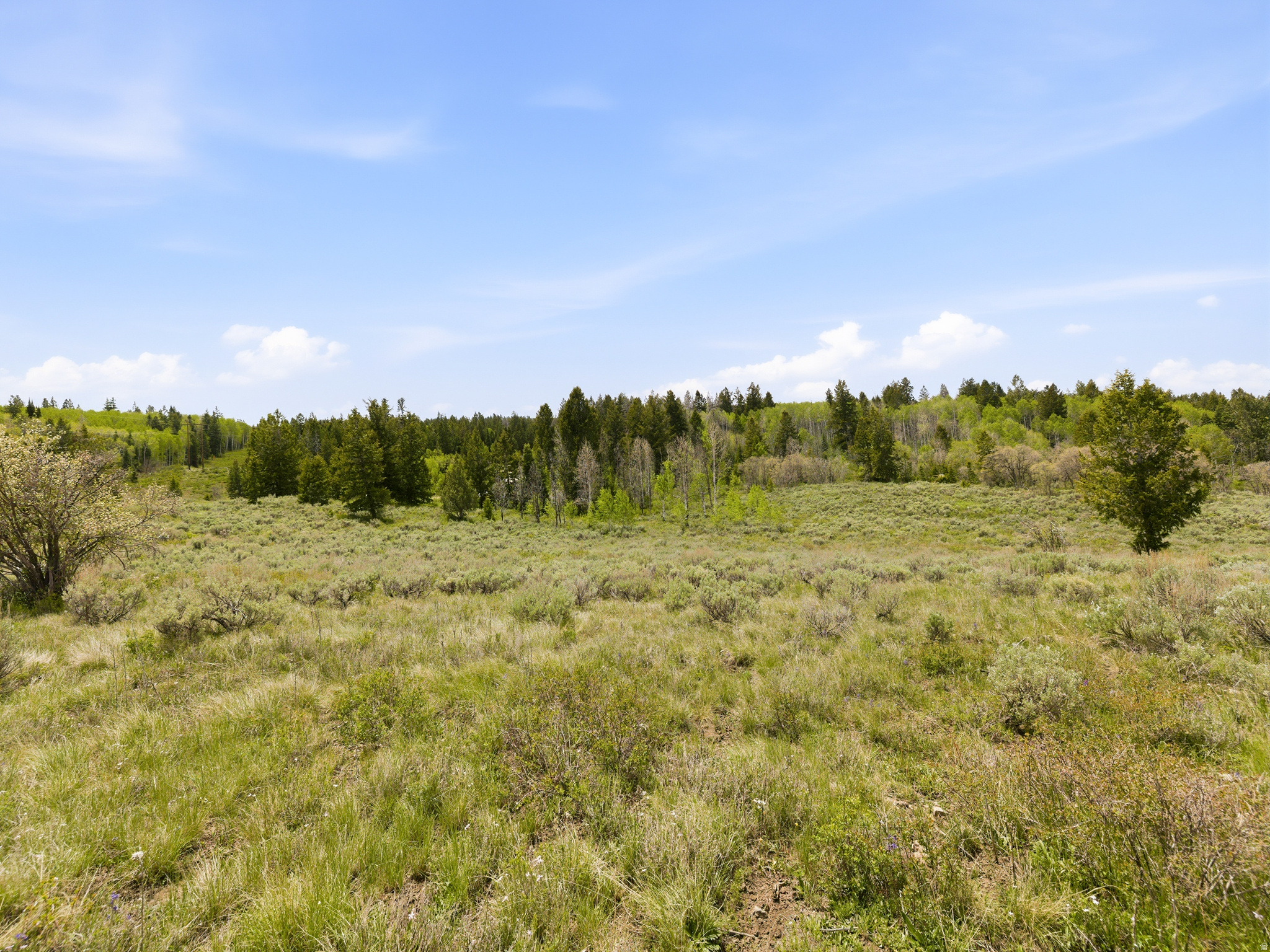 SOLDIER SUMMIT ESTATES - Land