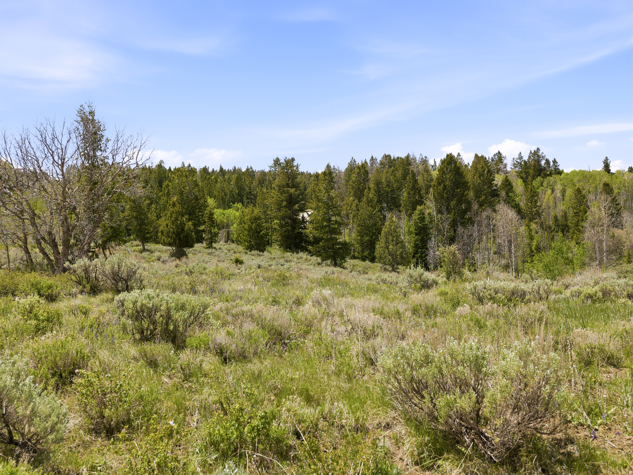SOLDIER SUMMIT ESTATES - Land