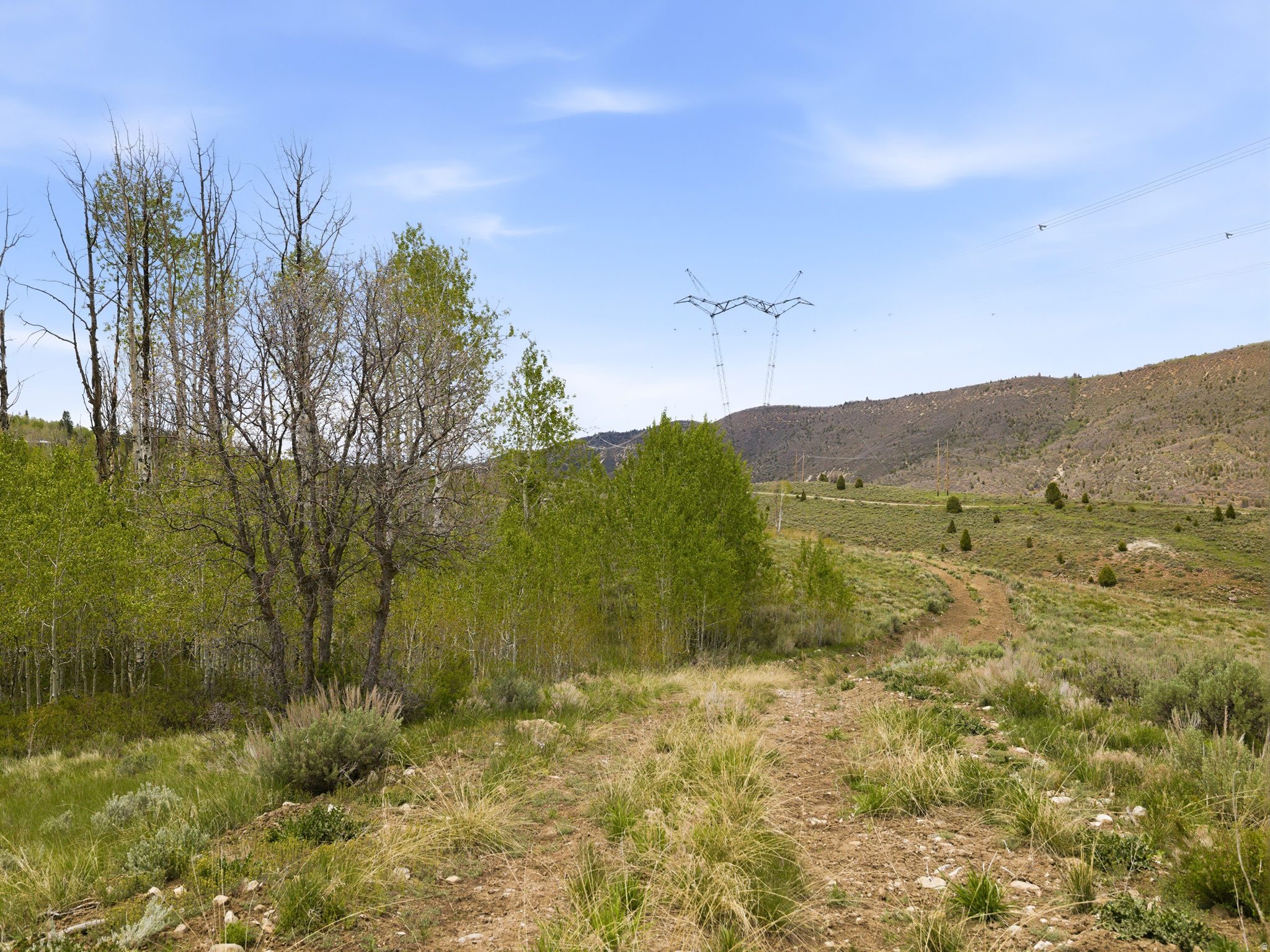 SOLDIER SUMMIT ESTATES - Land