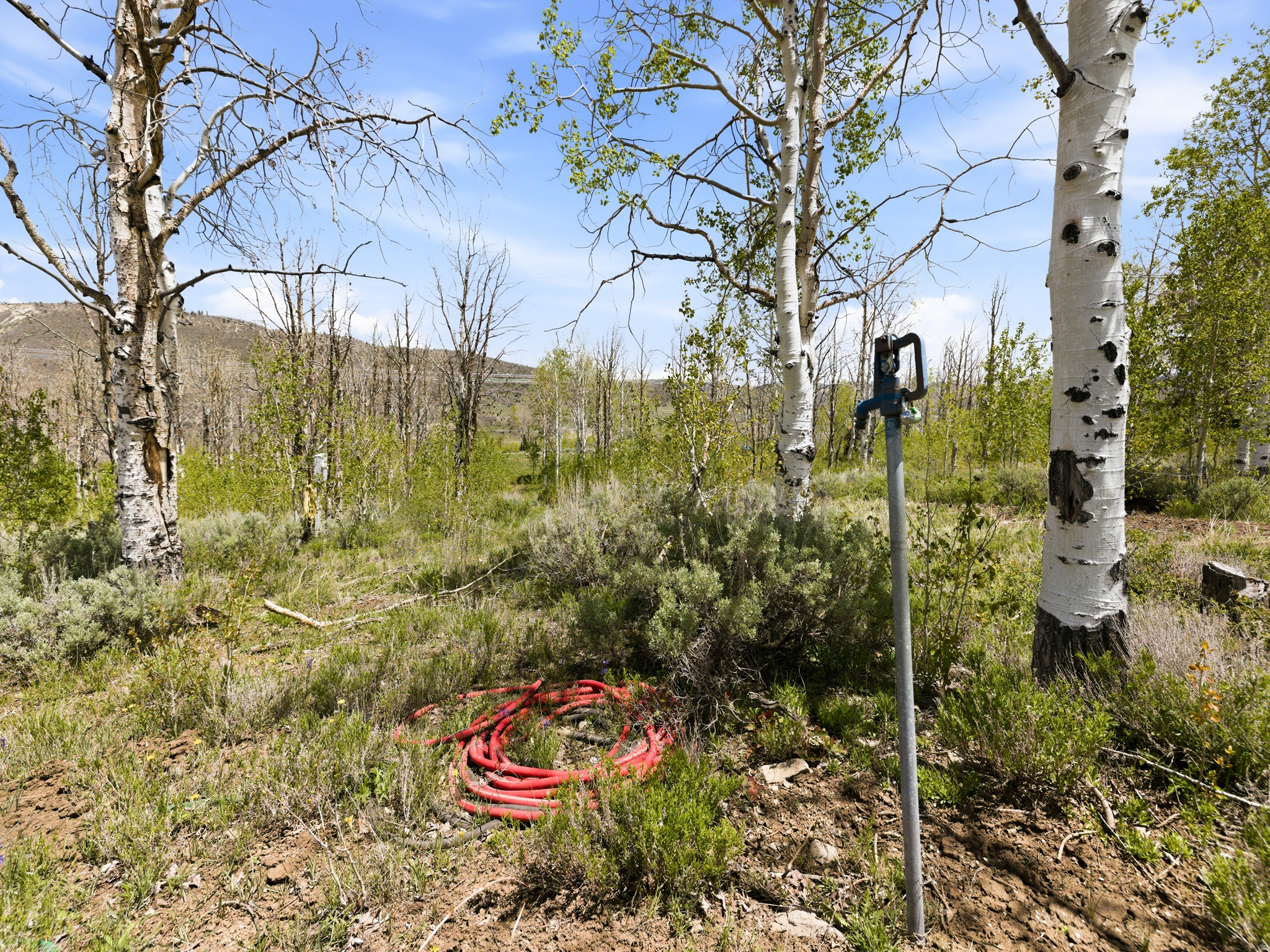 SOLDIER SUMMIT ESTATES - Land