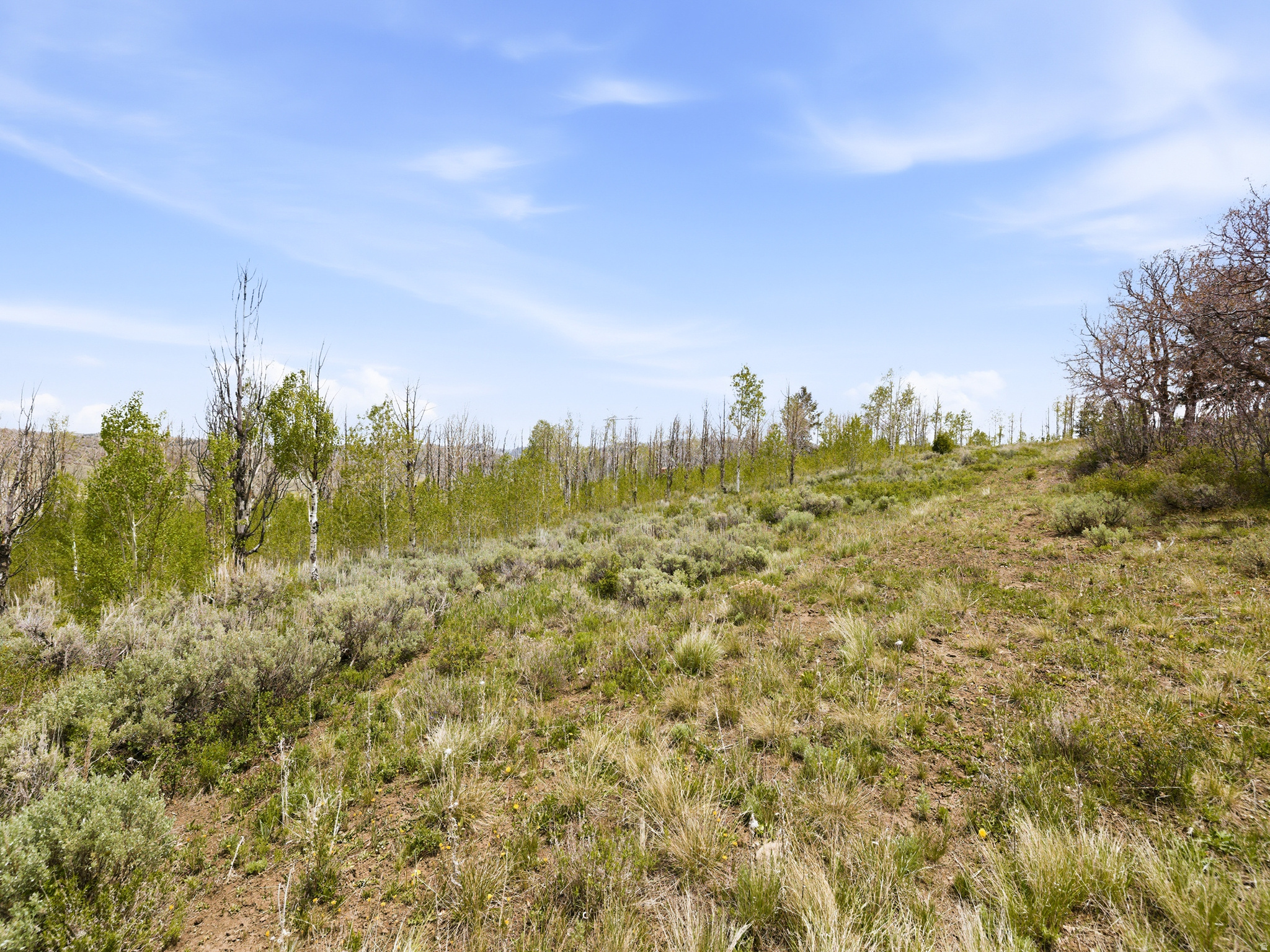 SOLDIER SUMMIT ESTATES - Land