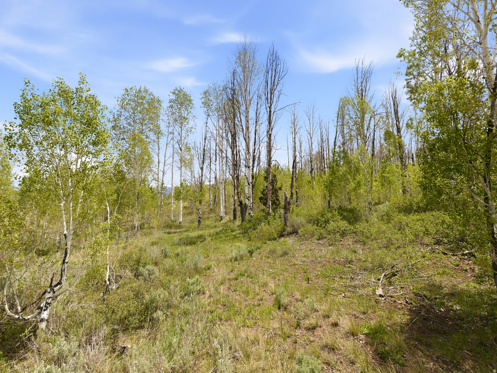SOLDIER SUMMIT ESTATES - Land