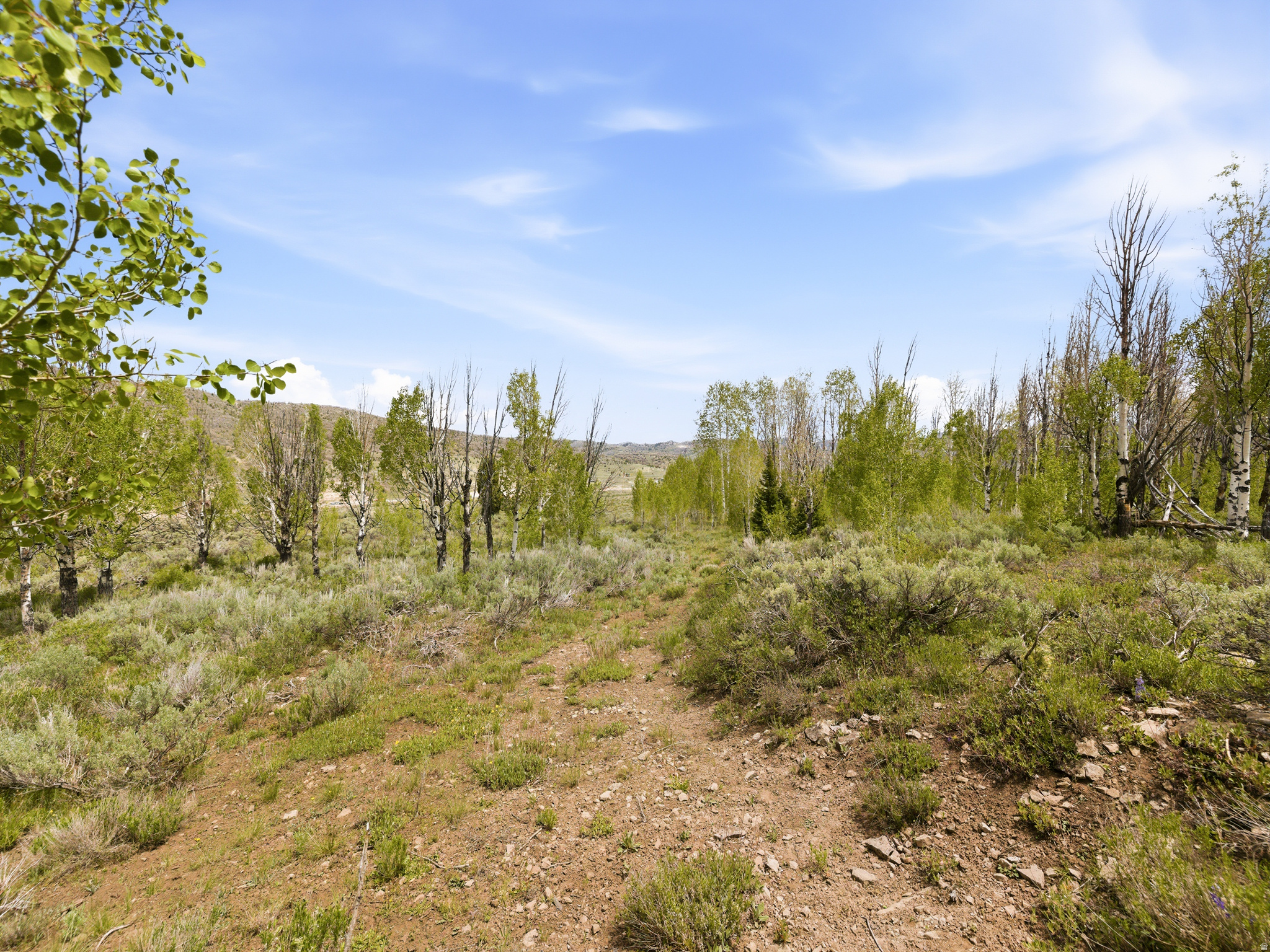 SOLDIER SUMMIT ESTATES - Land
