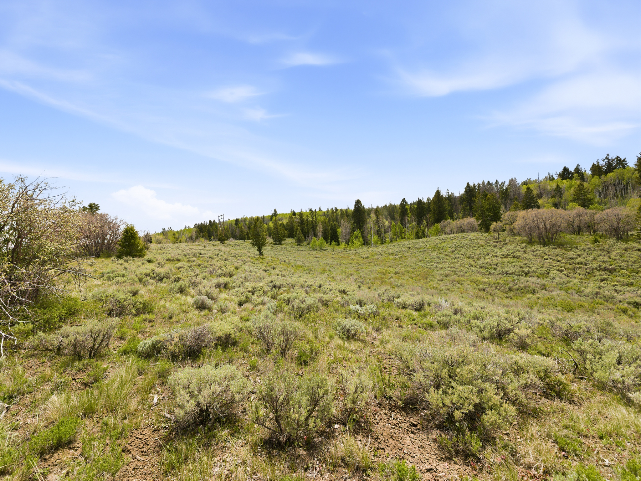 SOLDIER SUMMIT ESTATES - Land