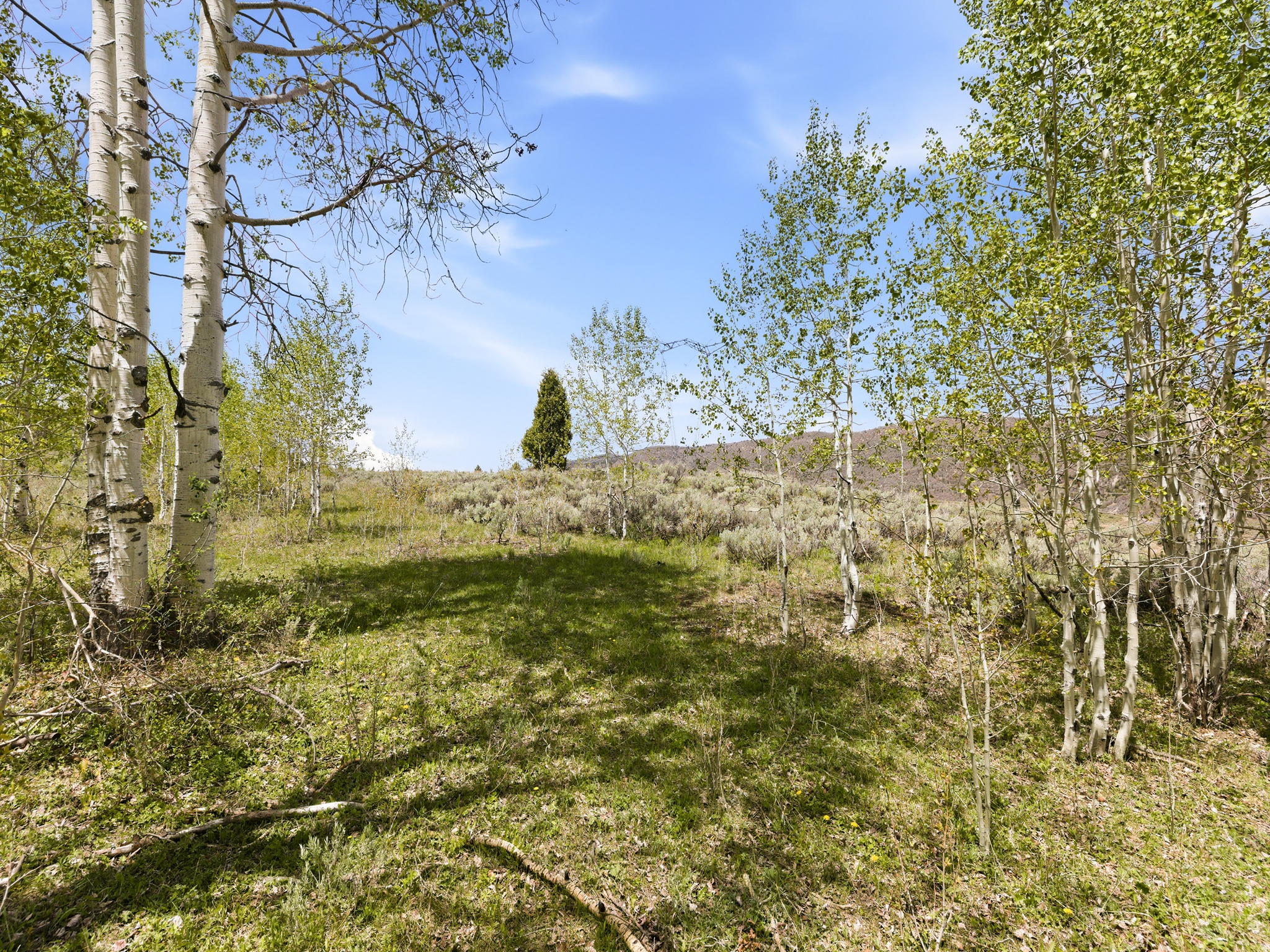 SOLDIER SUMMIT ESTATES - Land