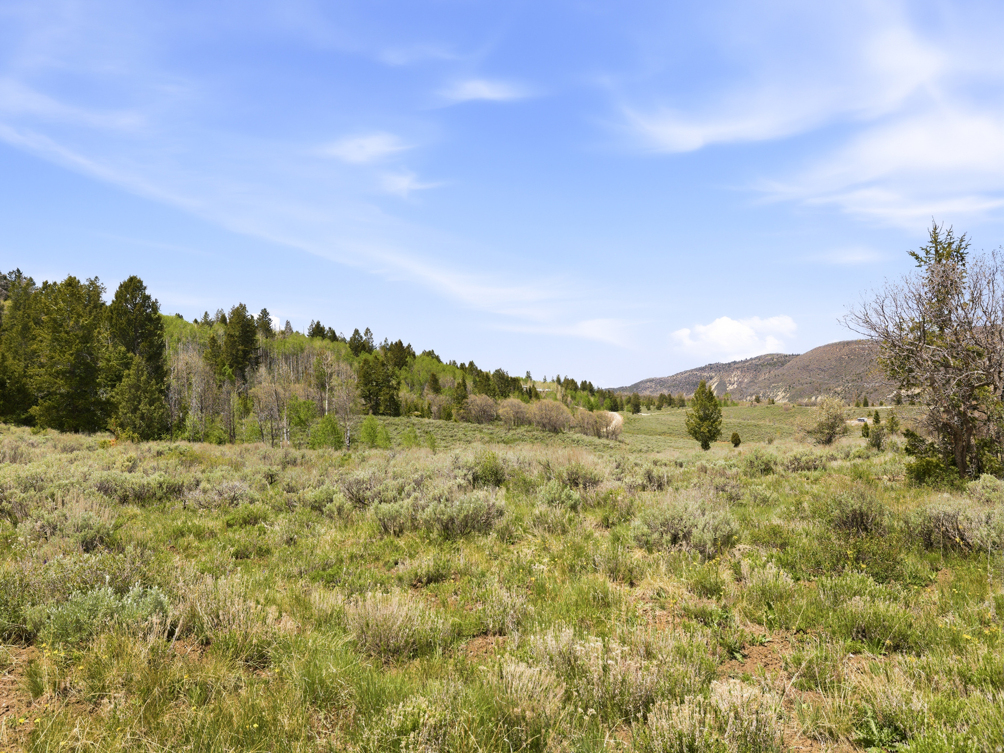 SOLDIER SUMMIT ESTATES - Land