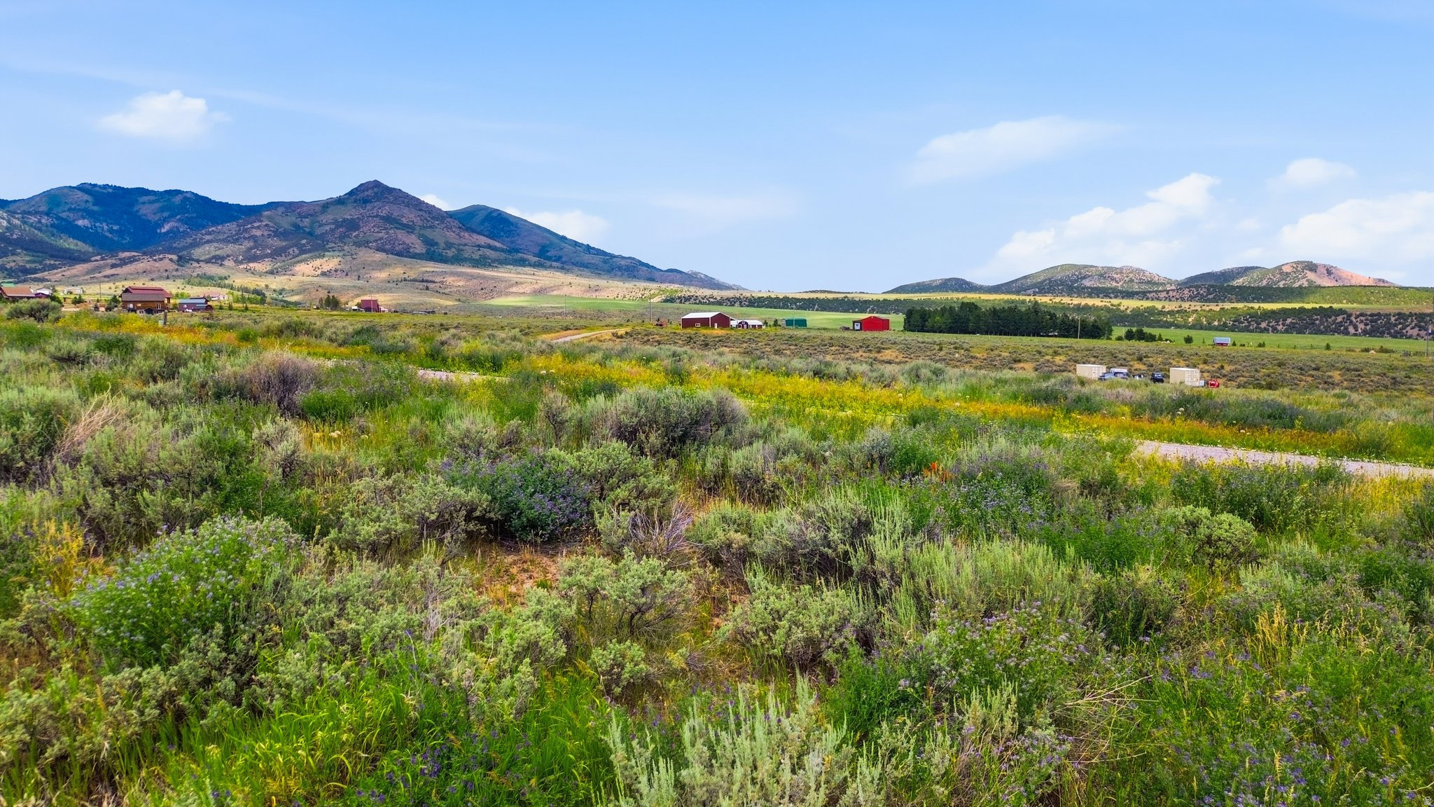 ELKHORN RIDGE ESTATES - Land