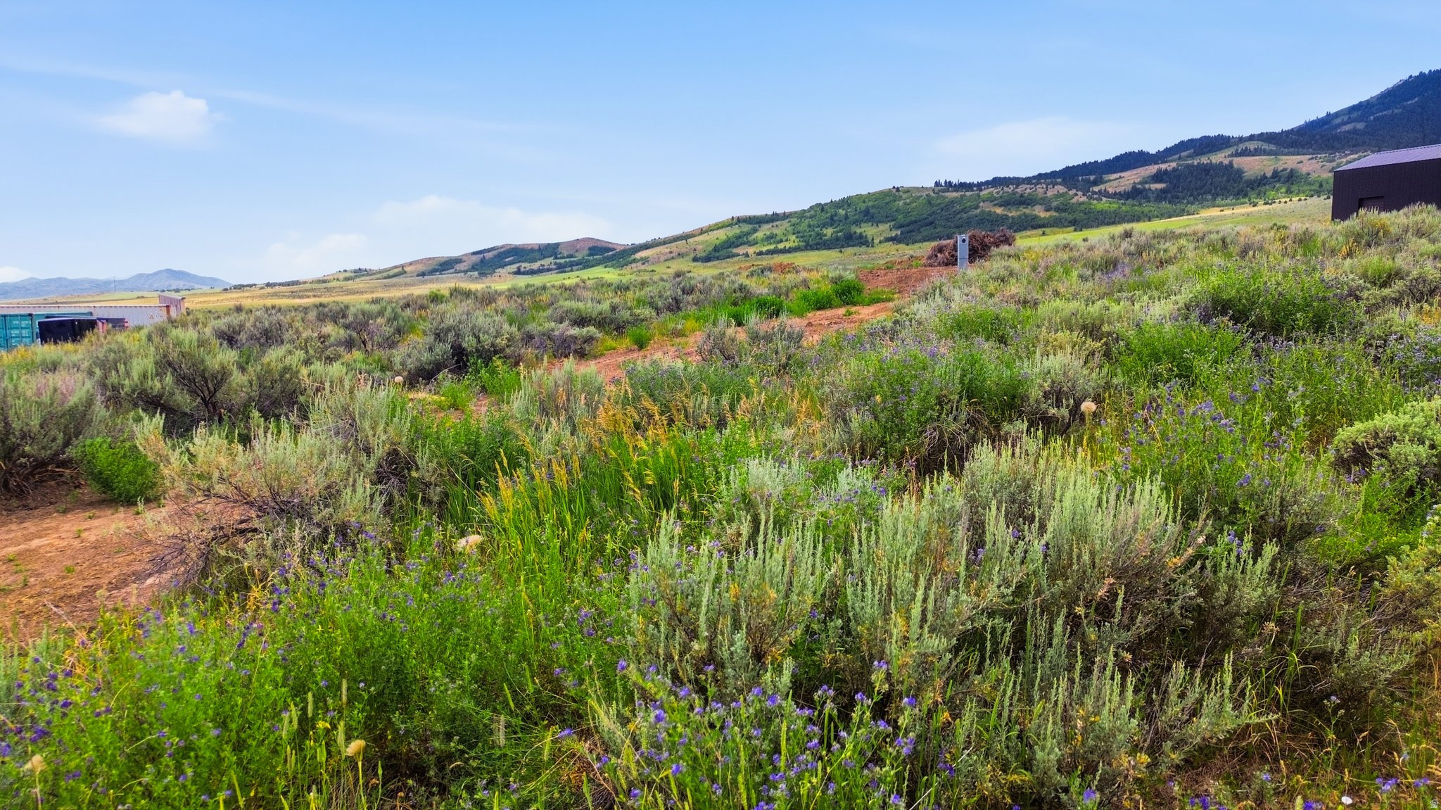 ELKHORN RIDGE ESTATES - Land