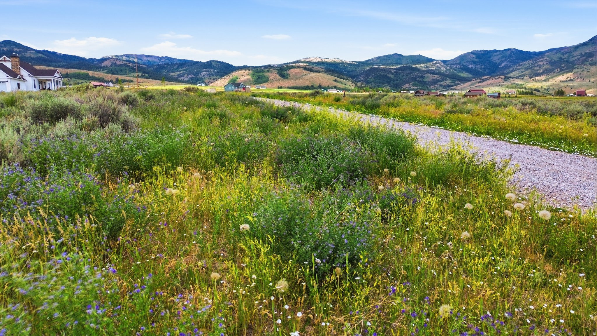 ELKHORN RIDGE ESTATES - Land