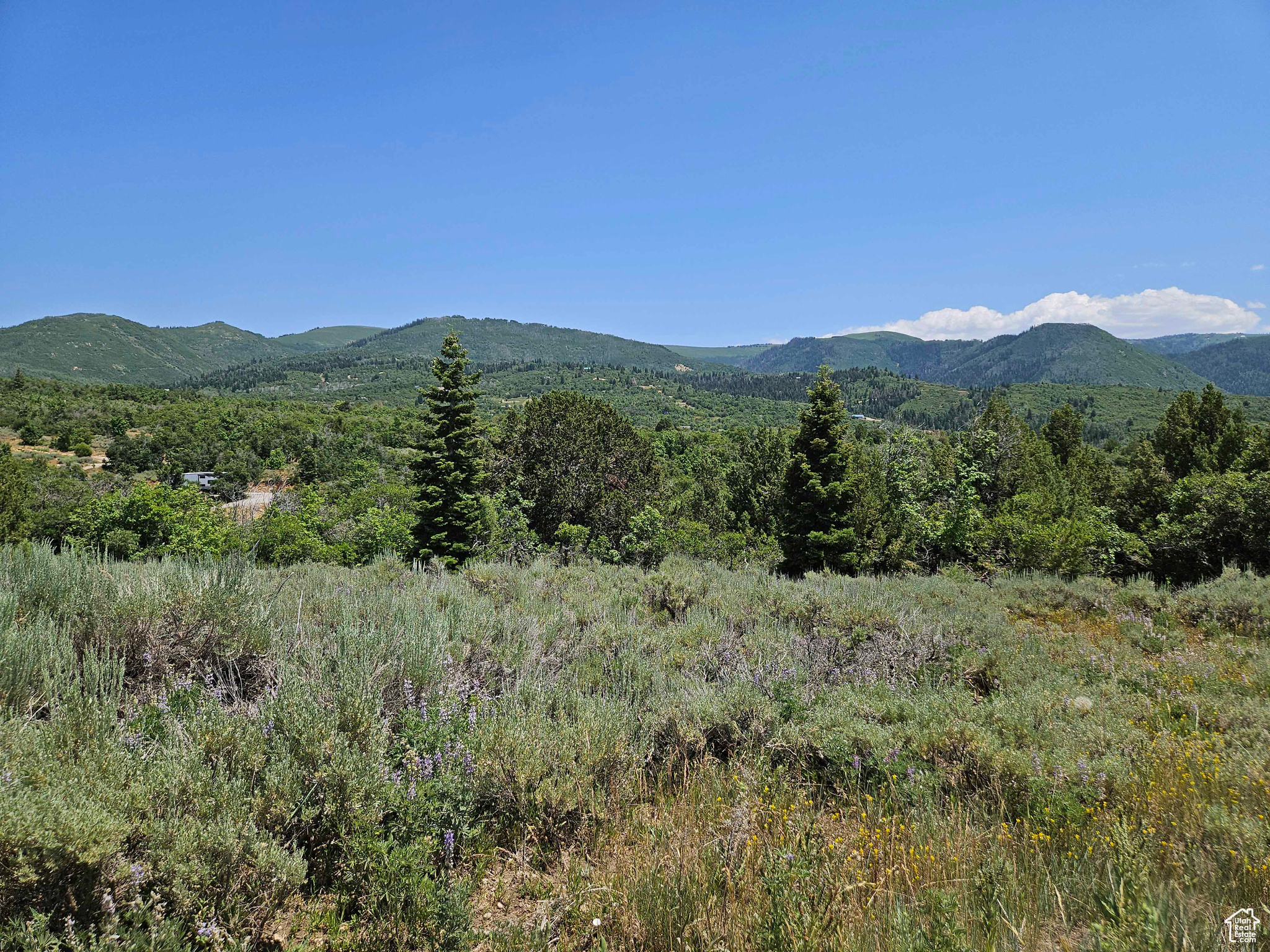 ASPEN HILLS - Land
