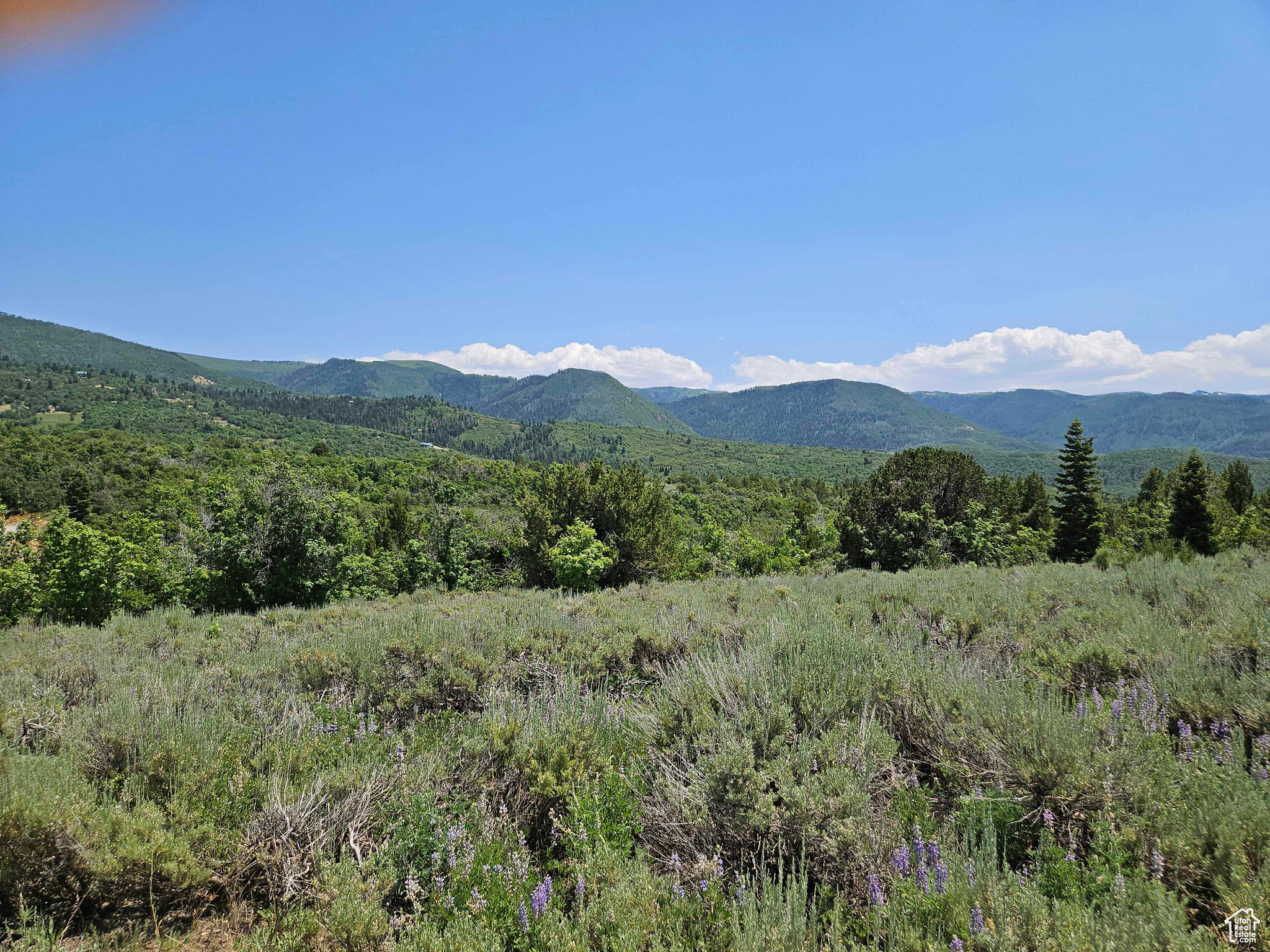 ASPEN HILLS - Land