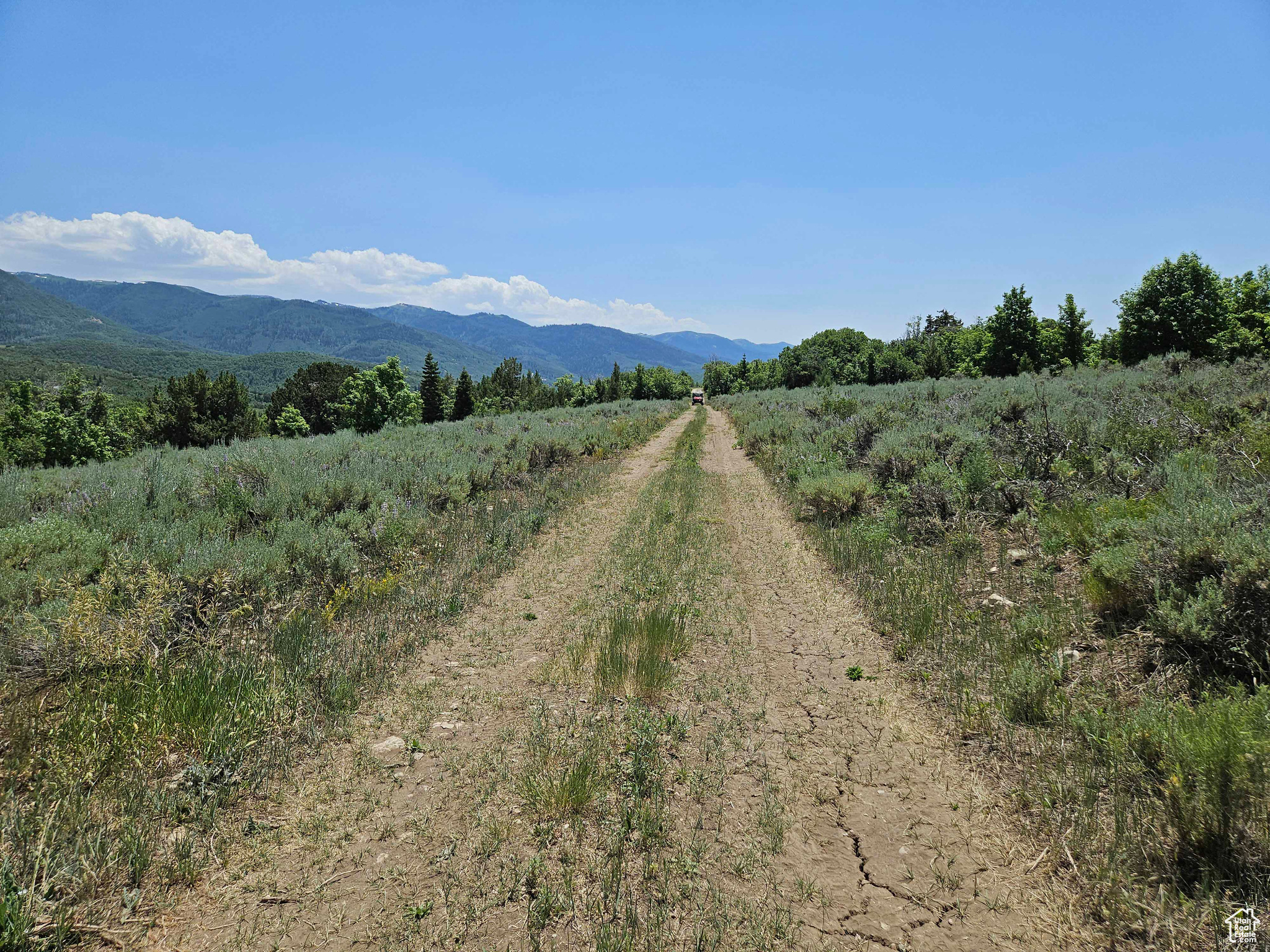 ASPEN HILLS - Land