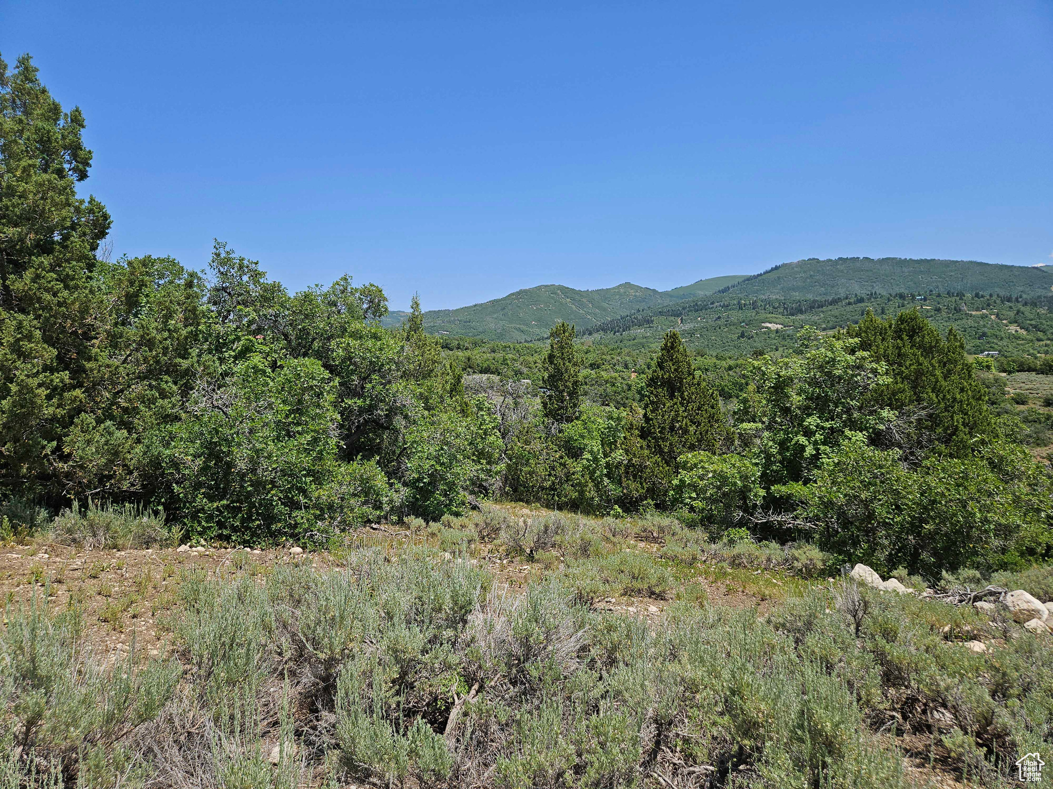 ASPEN HILLS - Land