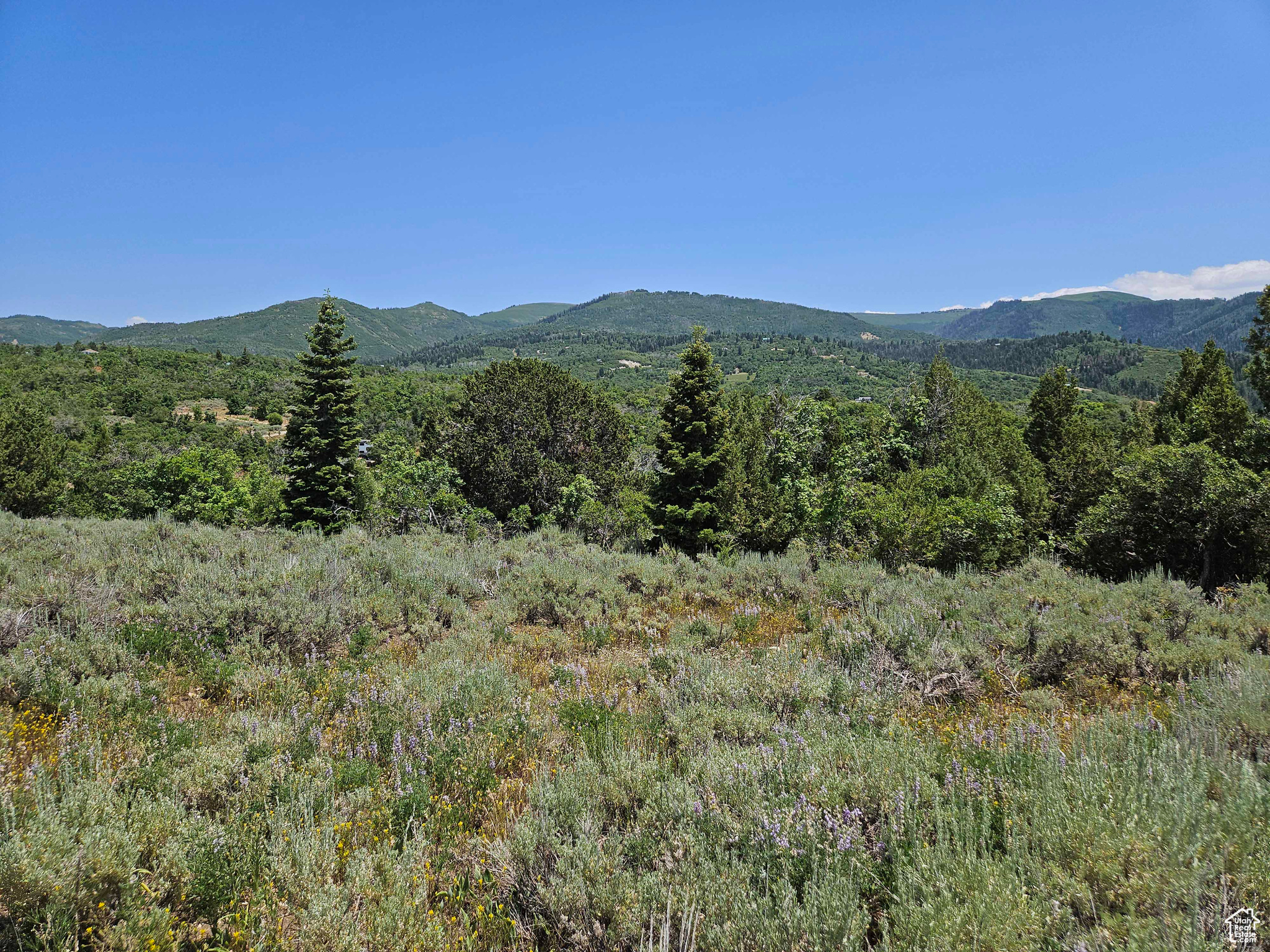ASPEN HILLS - Land