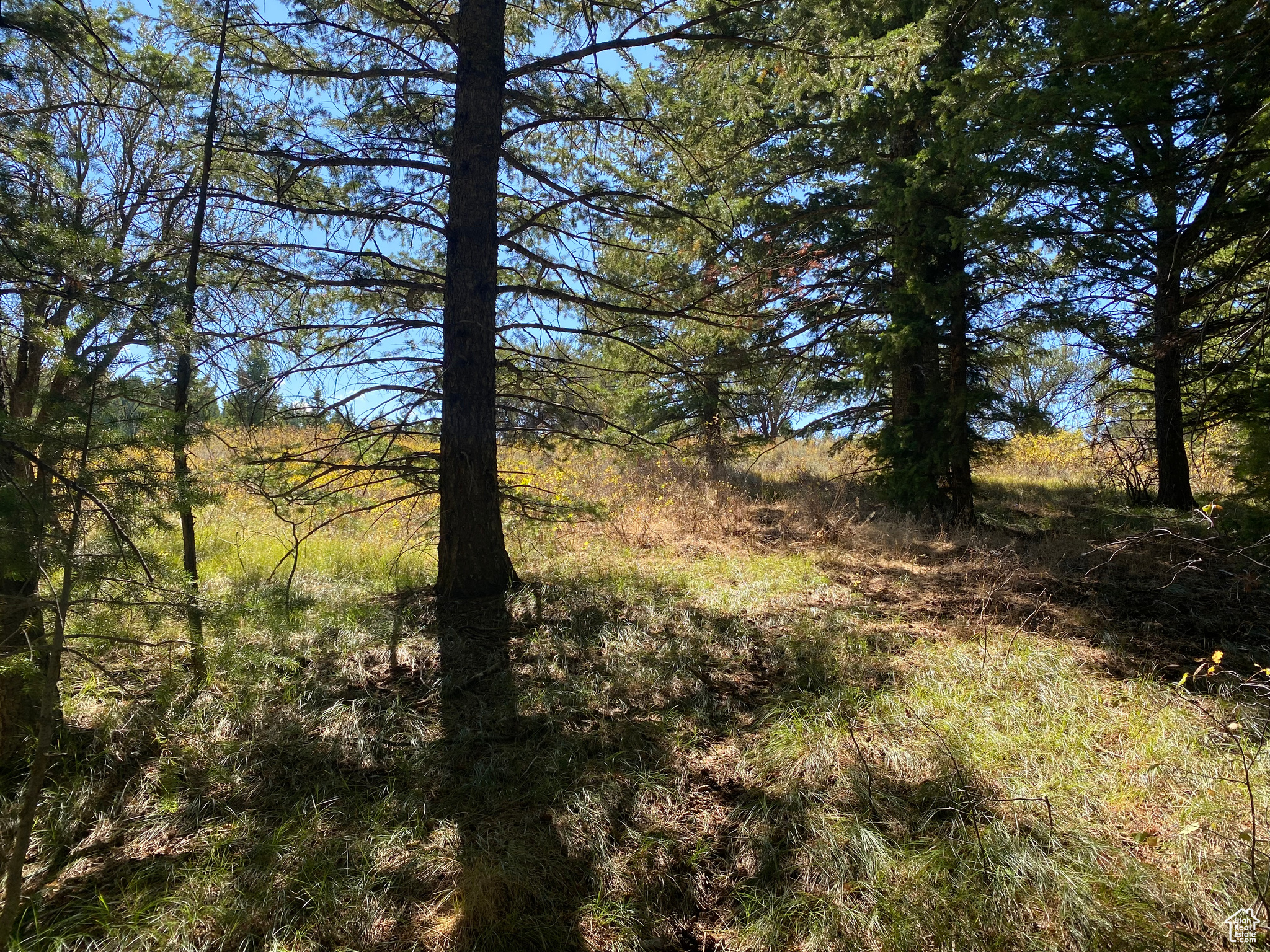 SQUAW CREEK RANCHETTES PHASE 2 - Land