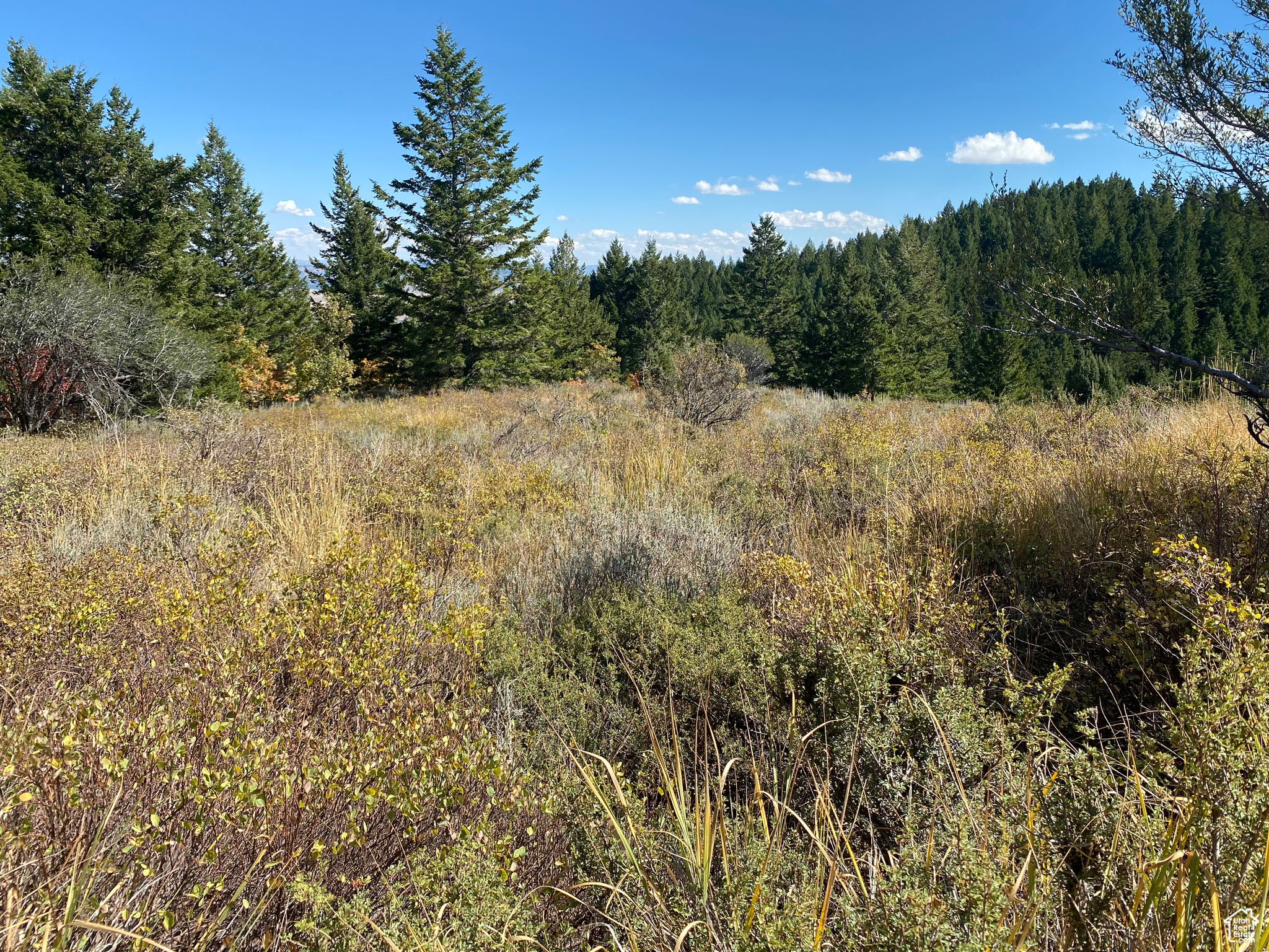 SQUAW CREEK RANCHETTES PHASE 2 - Land