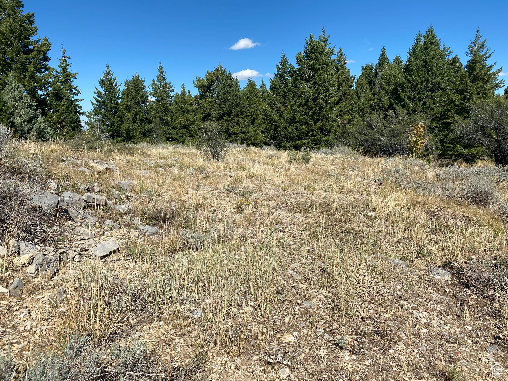 SQUAW CREEK RANCHETTES PHASE 2 - Land