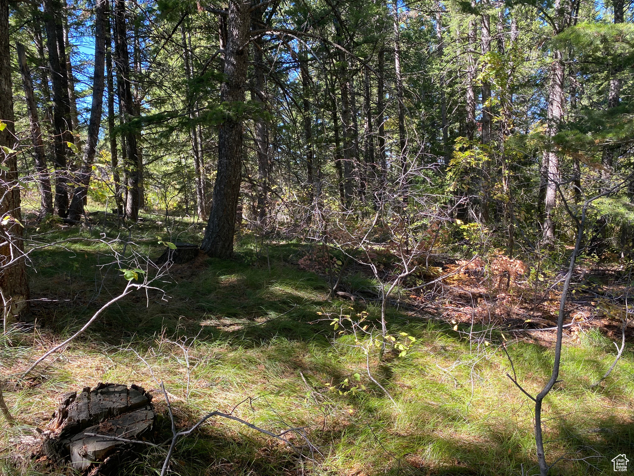 SQUAW CREEK RANCHETTES PHASE 2 - Land