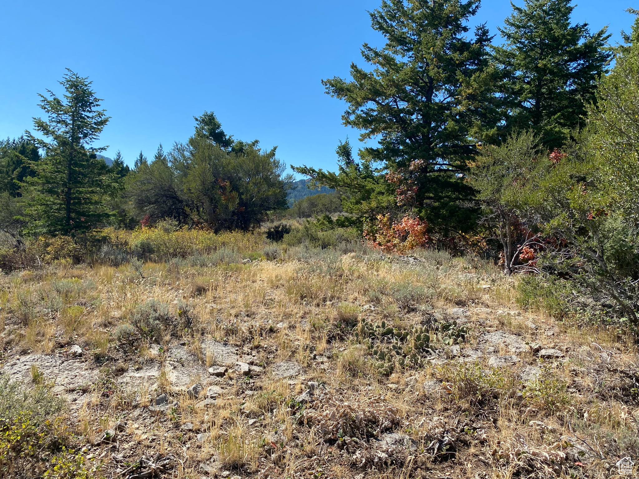 SQUAW CREEK RANCHETTES PHASE 2 - Land
