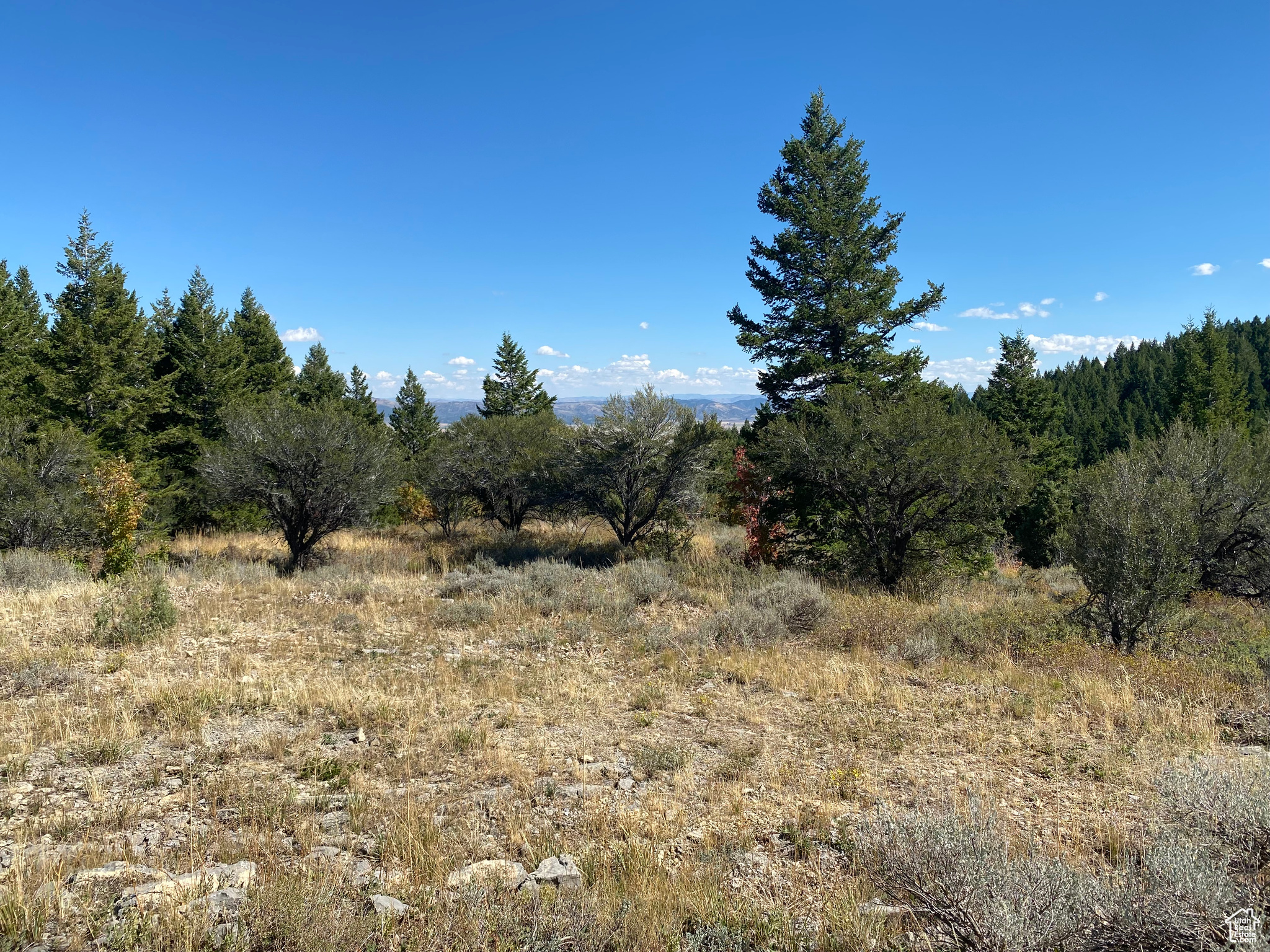 SQUAW CREEK RANCHETTES PHASE 2 - Land