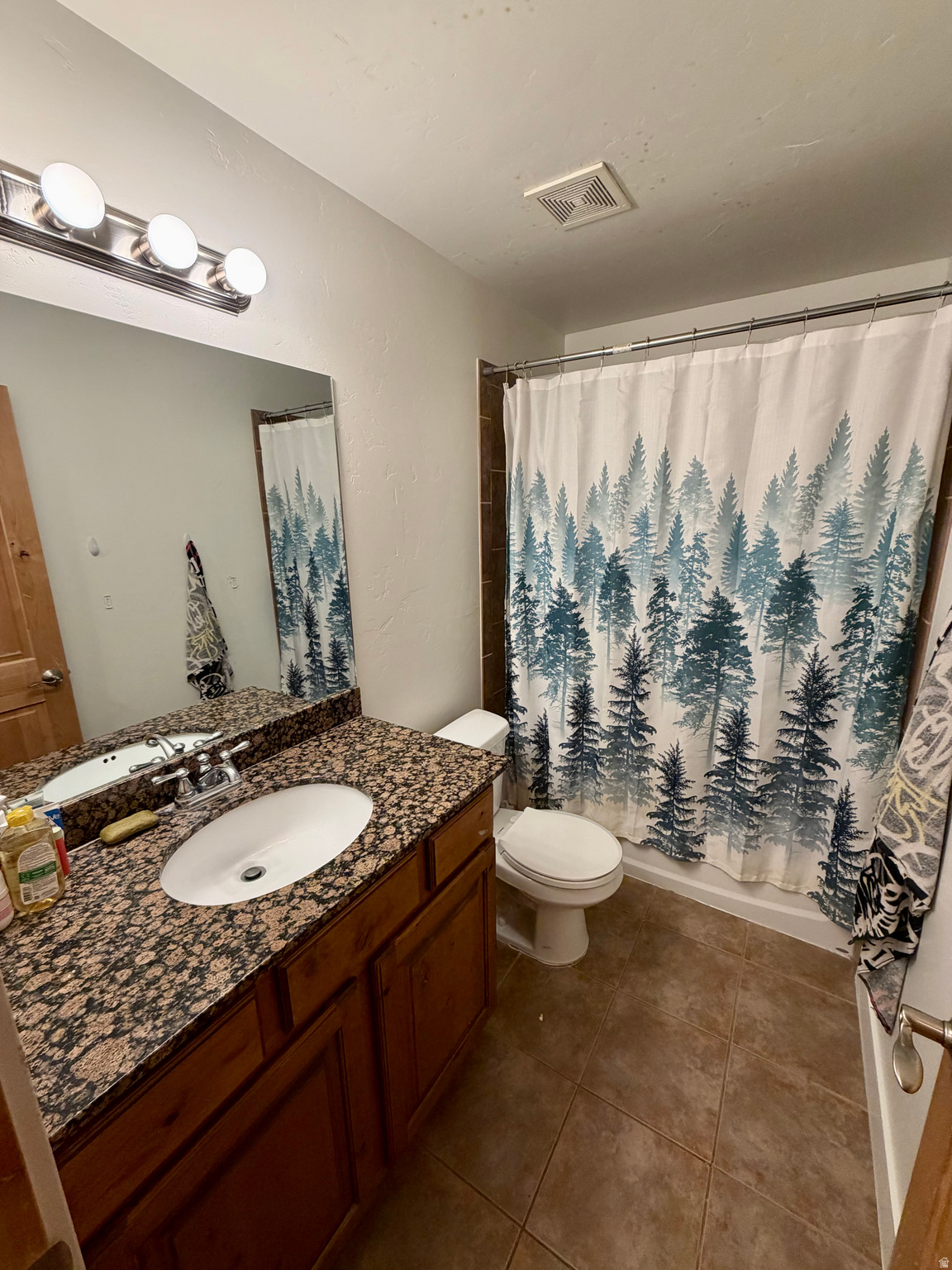 BEAR HOLLOW VILLAGE - Residential