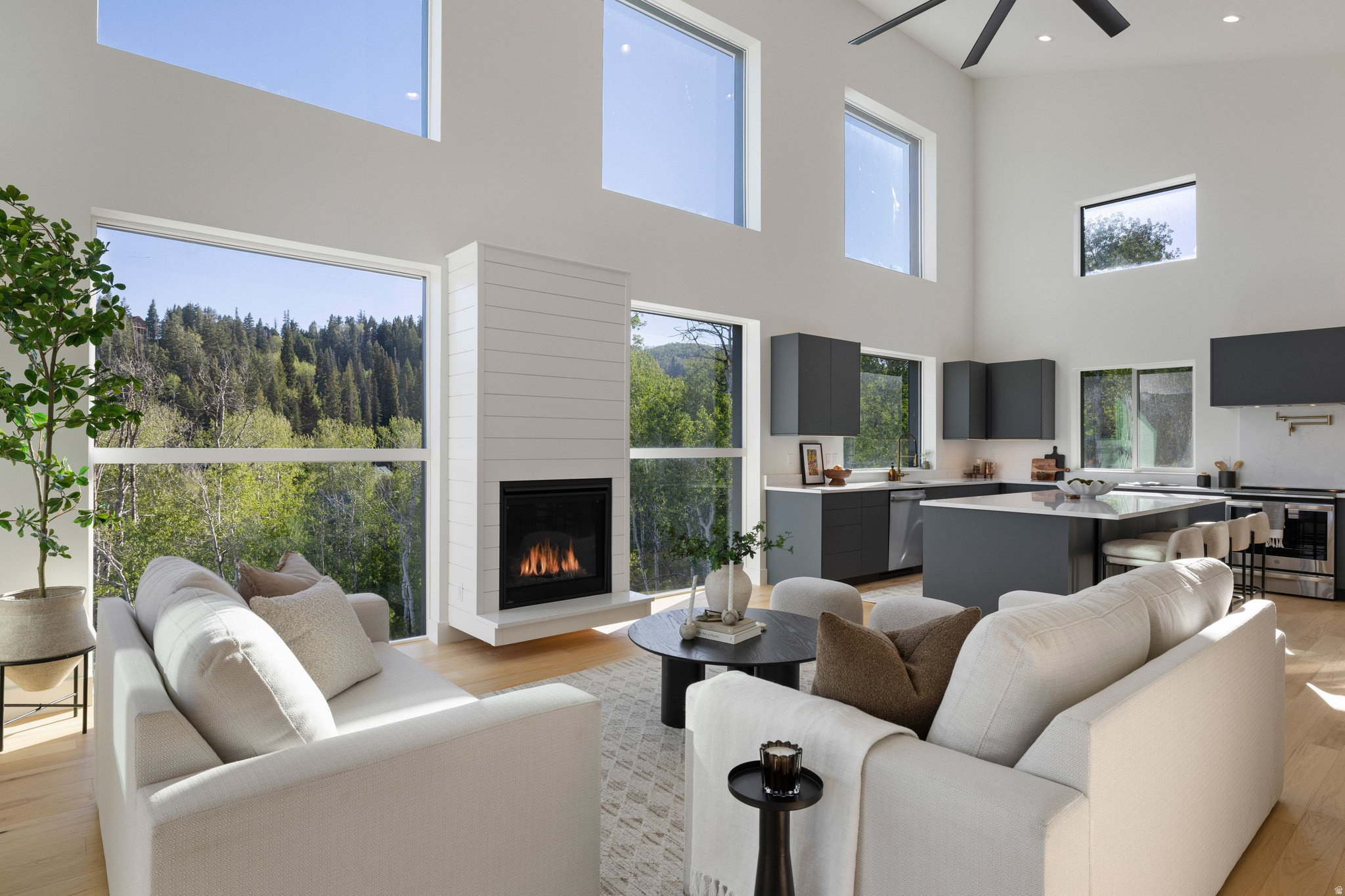 PINE MEADOWS - Residential