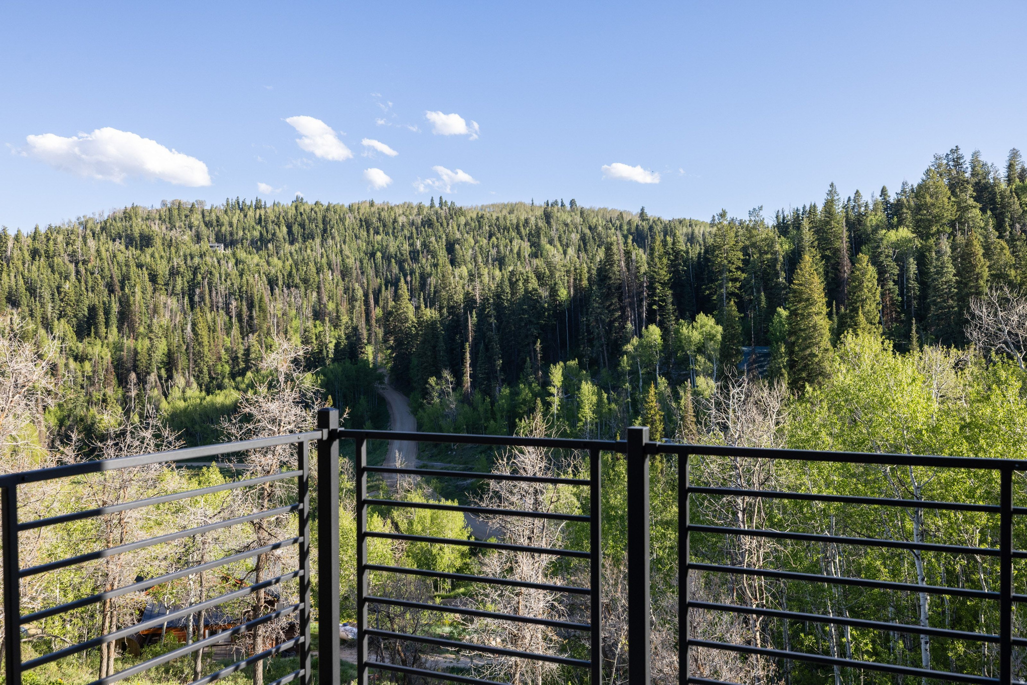 PINE MEADOWS - Residential