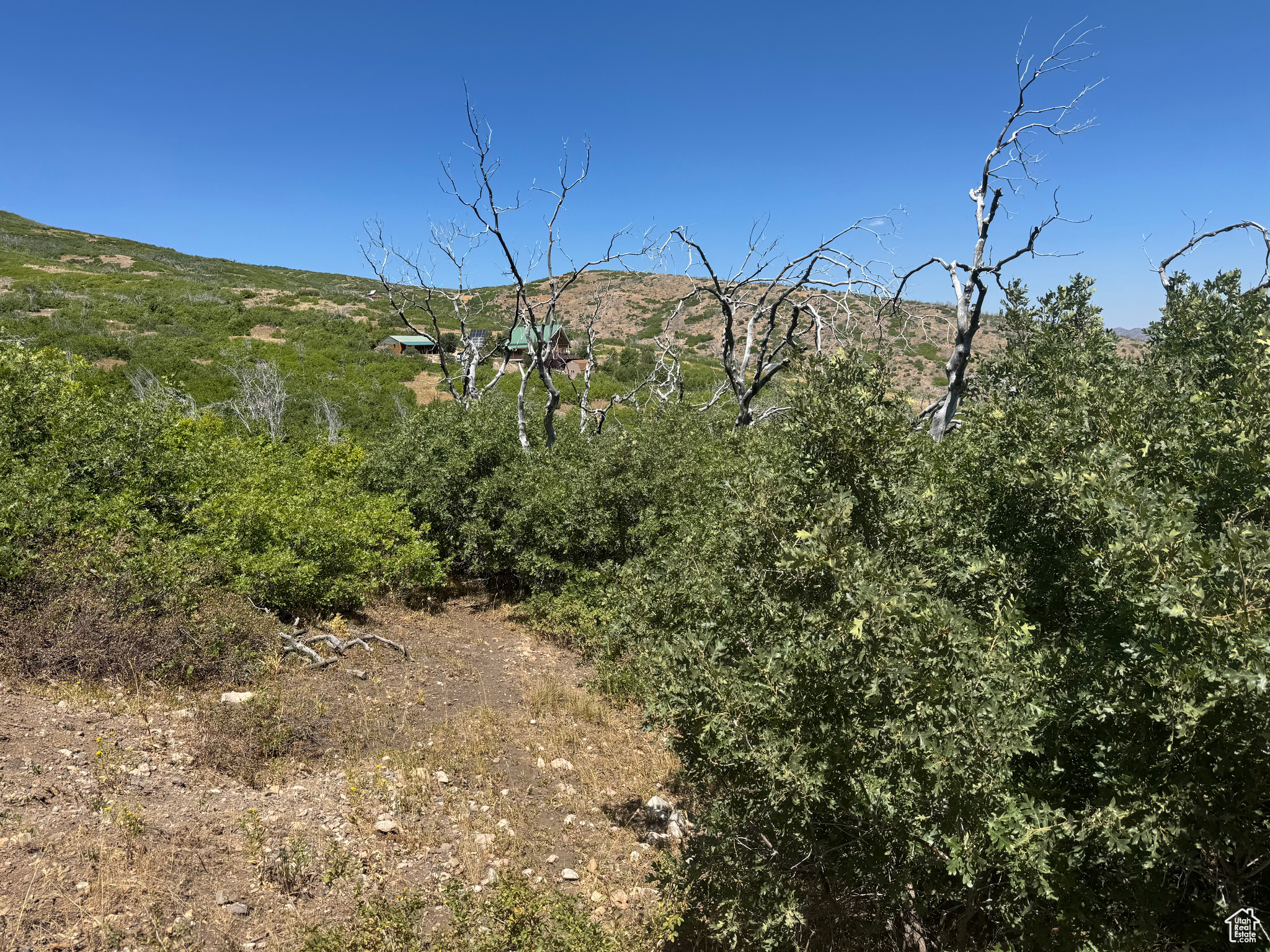 INDIAN RIDGE - Land