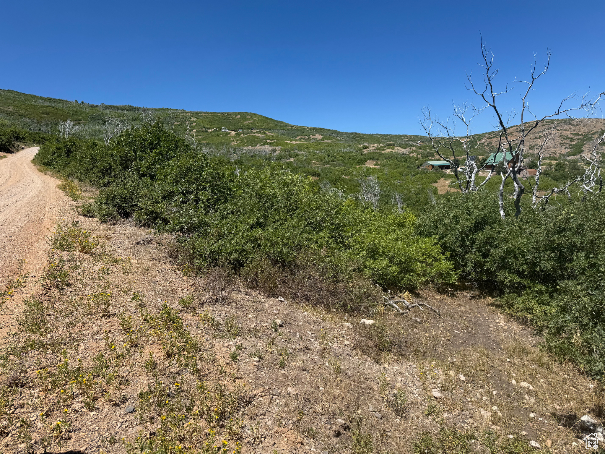 INDIAN RIDGE - Land
