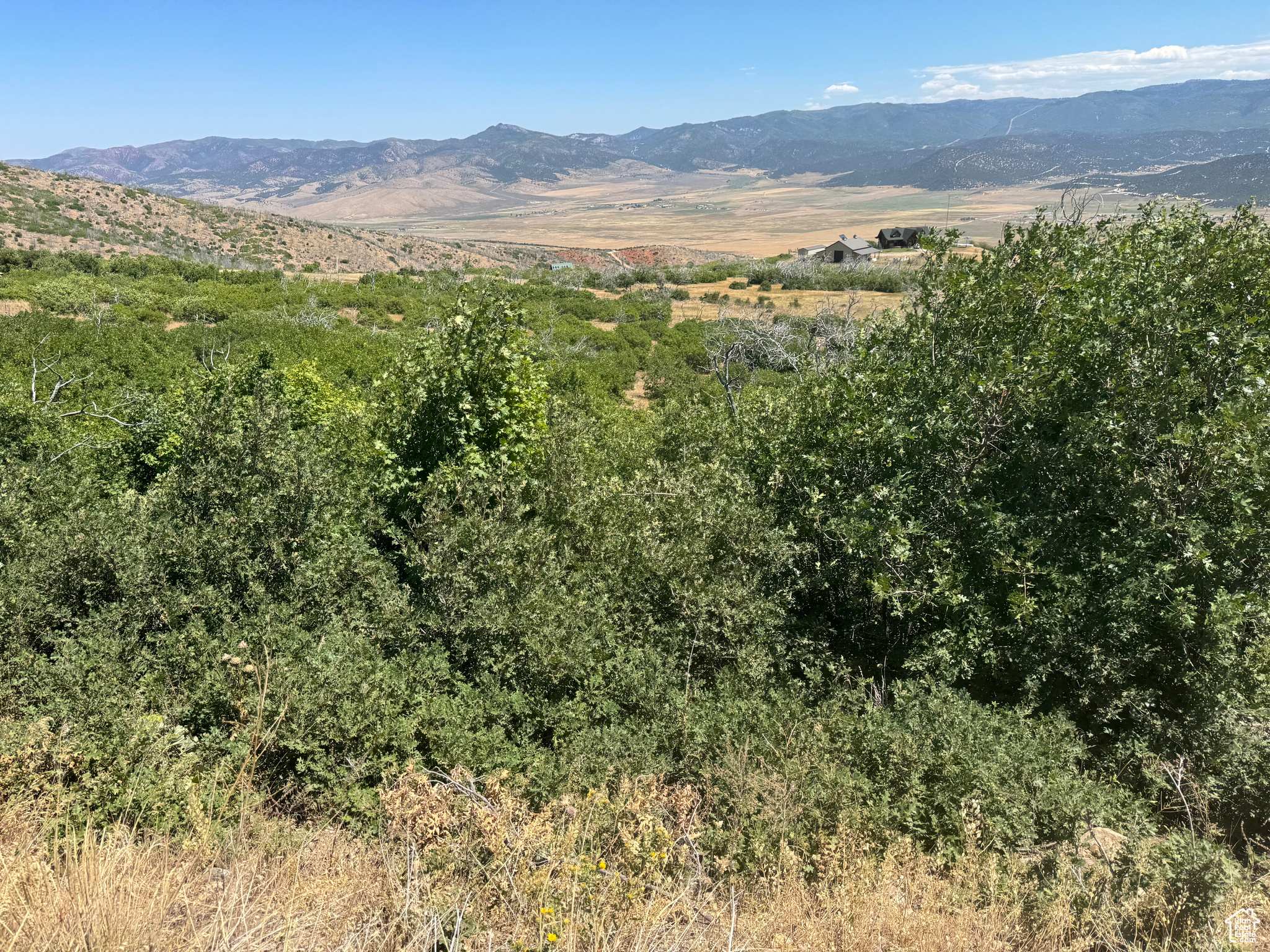 INDIAN RIDGE - Land
