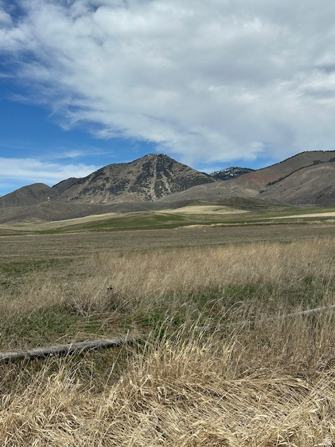 Check out this 9.6 acre parcel of land just north of Montpelier. Beautiful views of Mountains and hills and the valley in all directions. Set up your own hobby farm, or build your dream home.   It is the first lot in the Lynn HIll Subdivision. The frontage is on Joe's Gap road. Easy access onto Hwy 30. There is power on the lot. The pump for irrigation stays with the property.  The lot has been approved for commercial zoning but was not changed over to that.  Come and see it, buy it, and enjoy the country setting with easy access to Bear Lake, the Carribbean Of The Rockies that is just 30 minutes south or enjoy the endless great outdoors in the mountains surrounding our valley.