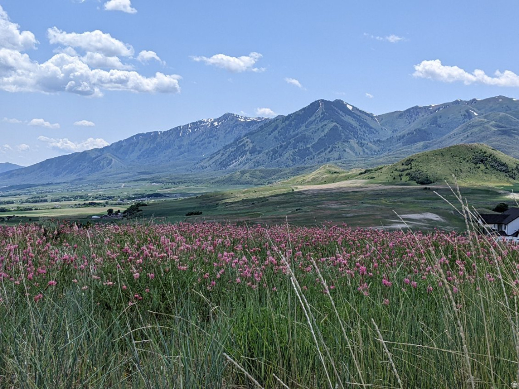 10 acres of land, with stunning views of both the mountains of Cache Valley and the foothills of Box Elder. Gorgeous sunrises and sunsets. Views cannot be beat. Enjoy the beauty of native flowers like poppies and sego lilies, the smell of sage, and nightly star gazing. This is heaven on earth. Build your dream home here, and indulge your senses every day. Electric has been ran up to the property.
