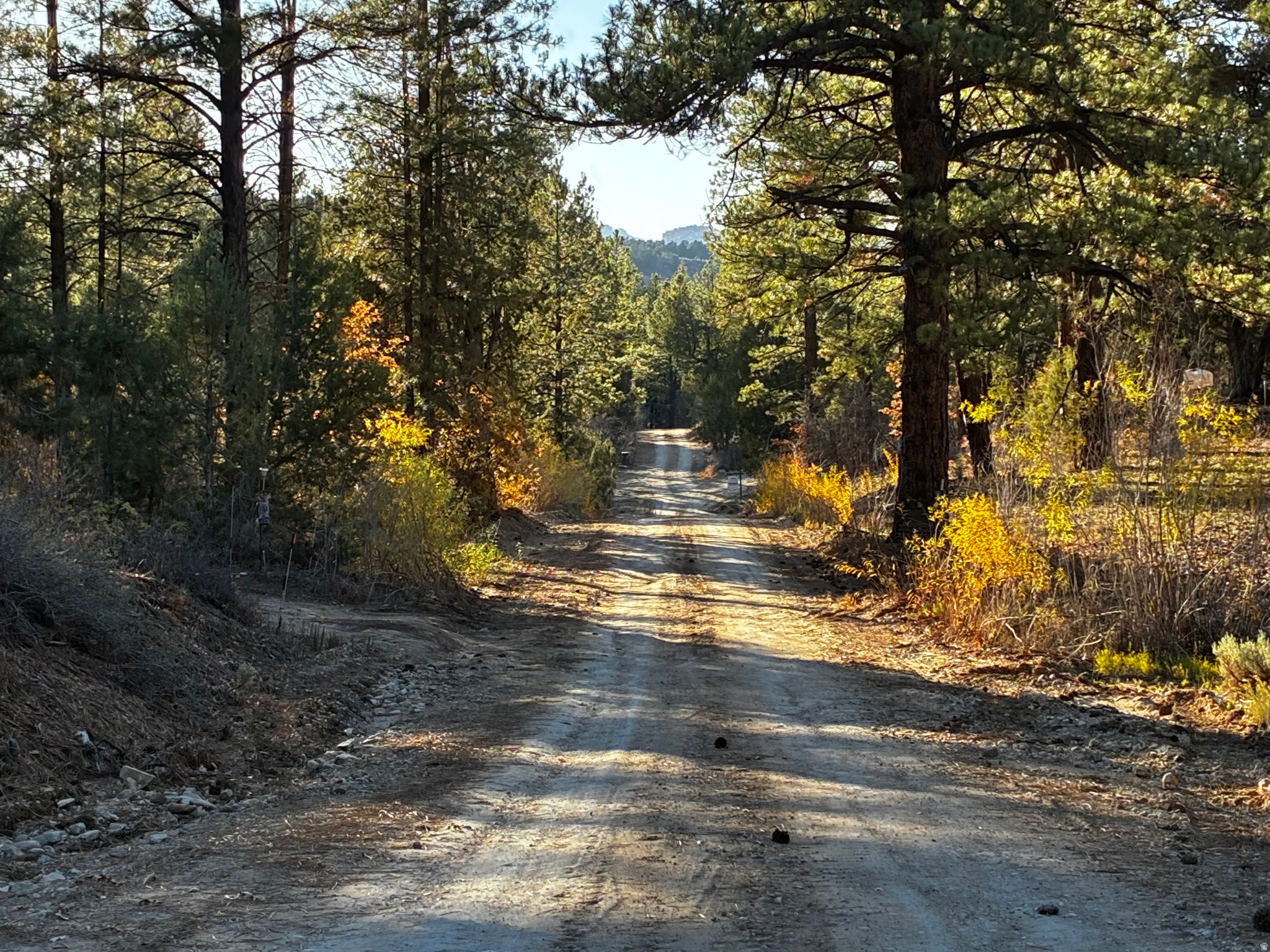 Little Ponderosa Lot  Steps from Zion's East Rim, Cable Mountain & Observation Point Trails! In the heart of the Little Ponderosa subdivision, originally created by Ray Lewis, this scenic lot offers direct access to Zion's east-side trailheads and is just minutes from the new East Zion Visitor Center. Water and power are available-perfect for a cabin or nightly rental. Enjoy hiking, biking, and stargazing in a quiet pine forest less than an hour from Bryce Canyon and 1.5 hours from the Grand Canyon North Rim.   GPS: 37.26841, -112.89548 (https://www.google.com/maps?q=37.26841,-112.89548) Stay at Zion Ponderosa Ranch Resort with a 25% discount while you tour the property!