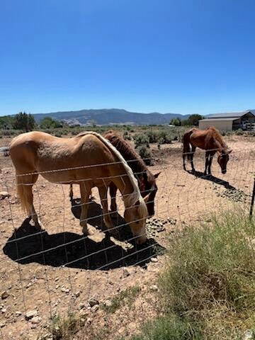 RIDING ACRES - Residential