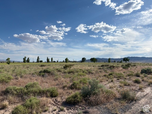 IRONWOOD - Land