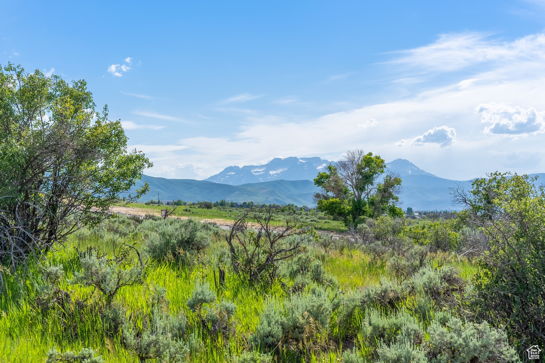 Beautiful Views with Large Acreage at Blue Sage Ranch in the Heber Valley. Situated just outside Heber's historic Main Street, Blue Sage Ranch features a community of 20 luxury estate homesites ranging from 6 to 20+ acres and features an additional 80 acres of open space. With stunning vies of Mount Timpanogos, Blue Sage Ranch is the community you've been waiting for! In the Spring, Summer, and Fall, owners are minutes from hiking and biking on local trails; fishing on the Provo River; golfing at Wasatch Mountain, Homestead Resort, and Soldier Hollow; boating on Deer Creek, Jordanelle, and Strawberry Reservoirs; and so much more. When the temperature drops and the snow falls, owners are a short 20 minute drive from the greatest snow on earth at Park City's world-class ski resorts to the North and Sundance to the South. For those interested in additional winter pursuits, Blue Sage Ranch offers easy access to the best in snowmobiling, snowshoeing, and cross country skiing. Just 45 minutes from the Salt Lake International Airport, 30 minutes from Orem and Provo, and 20 minutes from Park City, Blue Sage Ranch offers a home with expansive views and wide-open spaces all with easy access to Heber City and beyond.