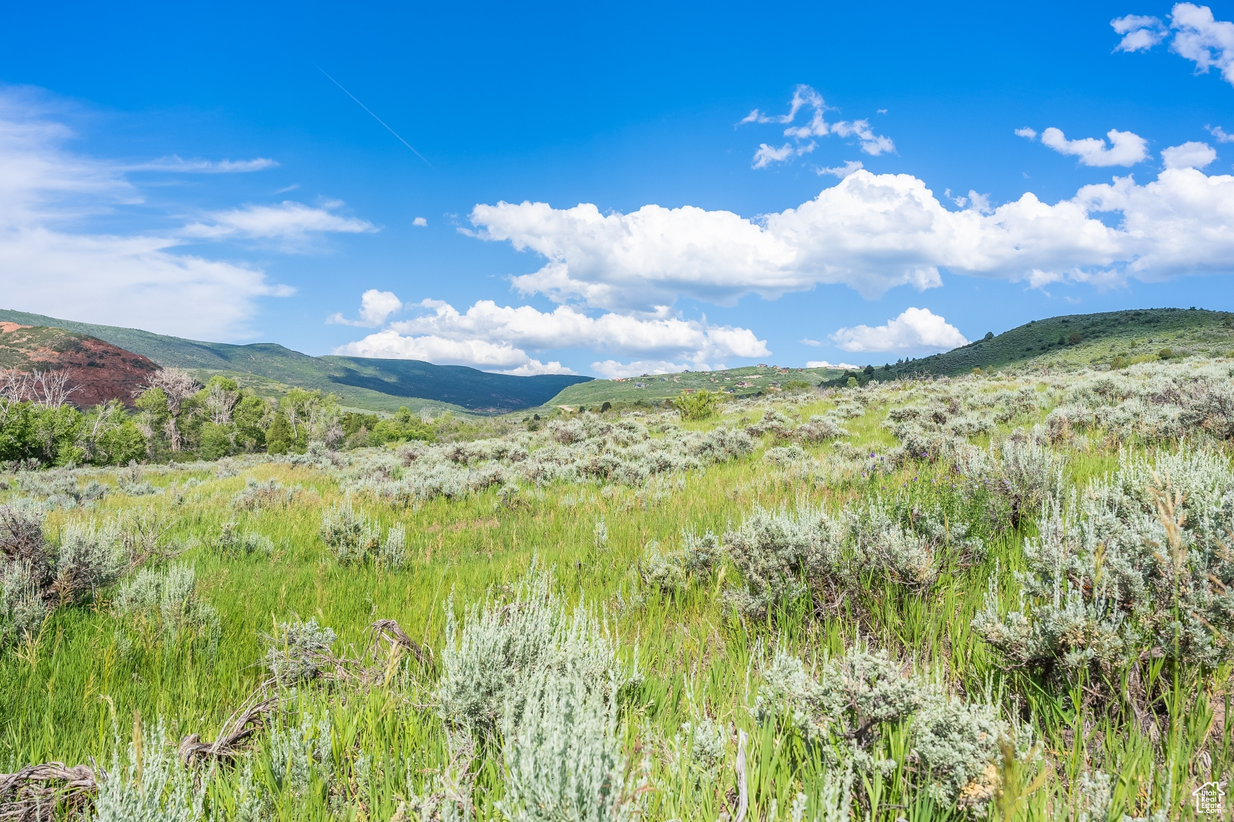 BLUE SAGE RANCH - Land