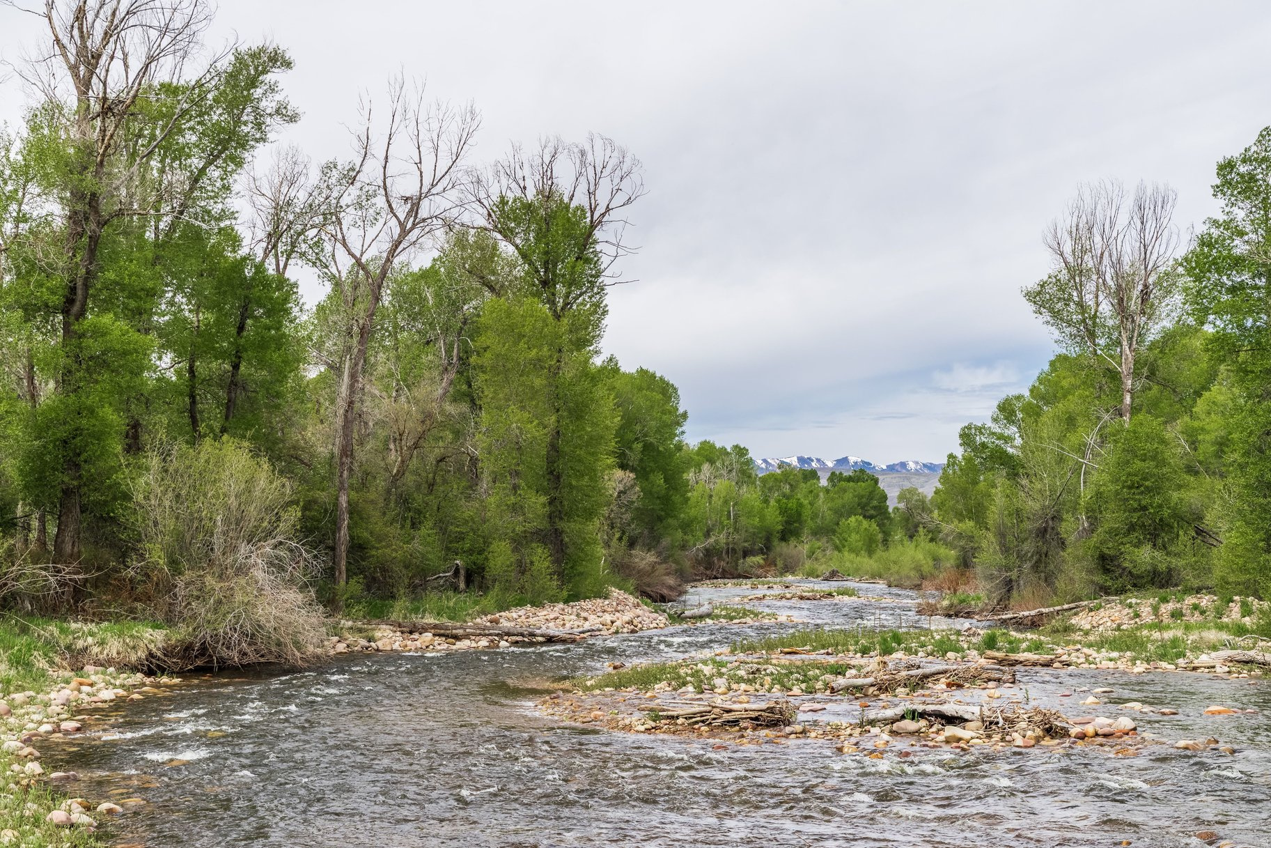 OAKLEY TOWN (BOULDERVILLE) - Residential