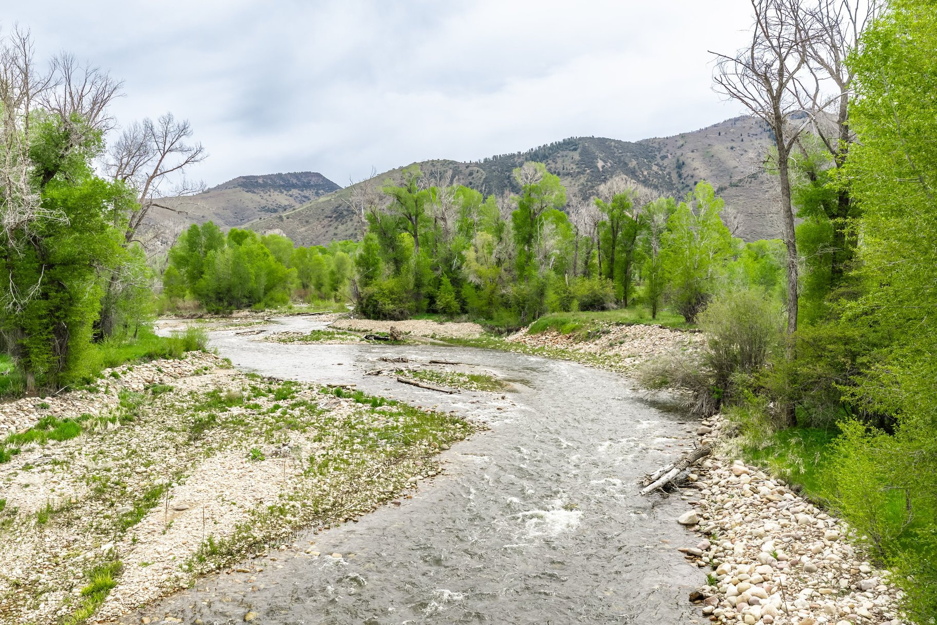 OAKLEY TOWN (BOULDERVILLE) - Residential