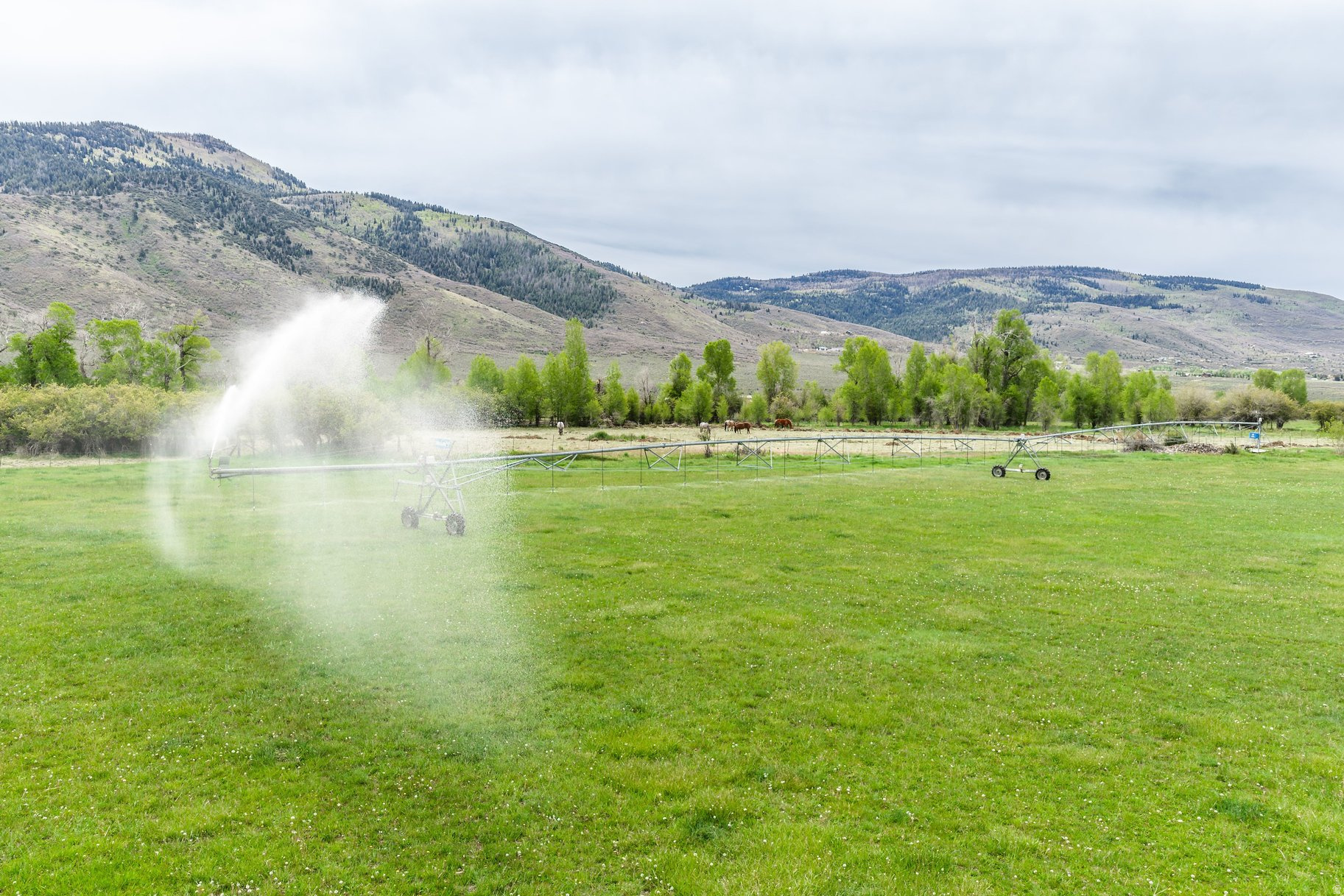 OAKLEY TOWN (BOULDERVILLE) - Residential