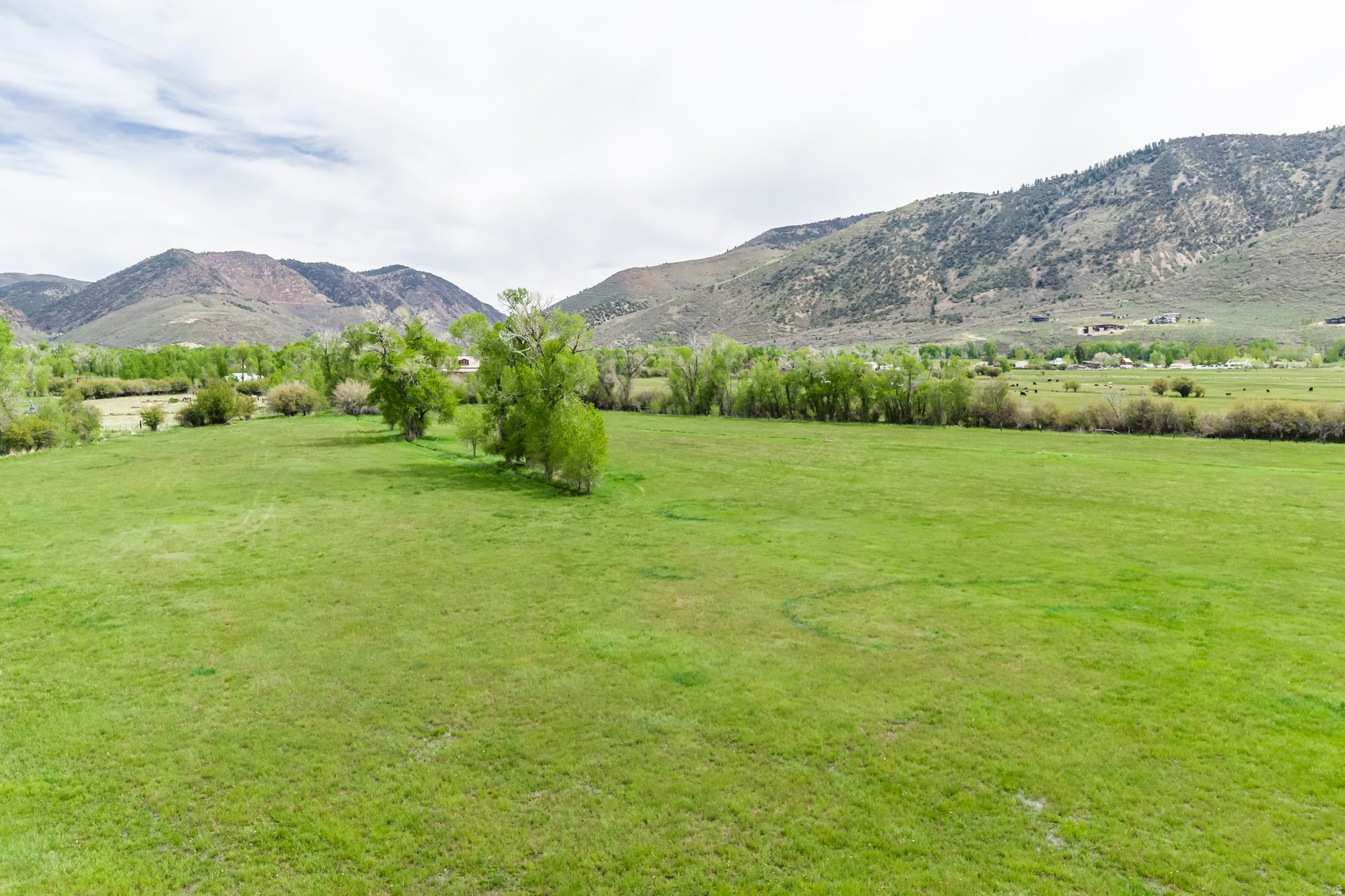 OAKLEY TOWN (BOULDERVILLE) - Residential