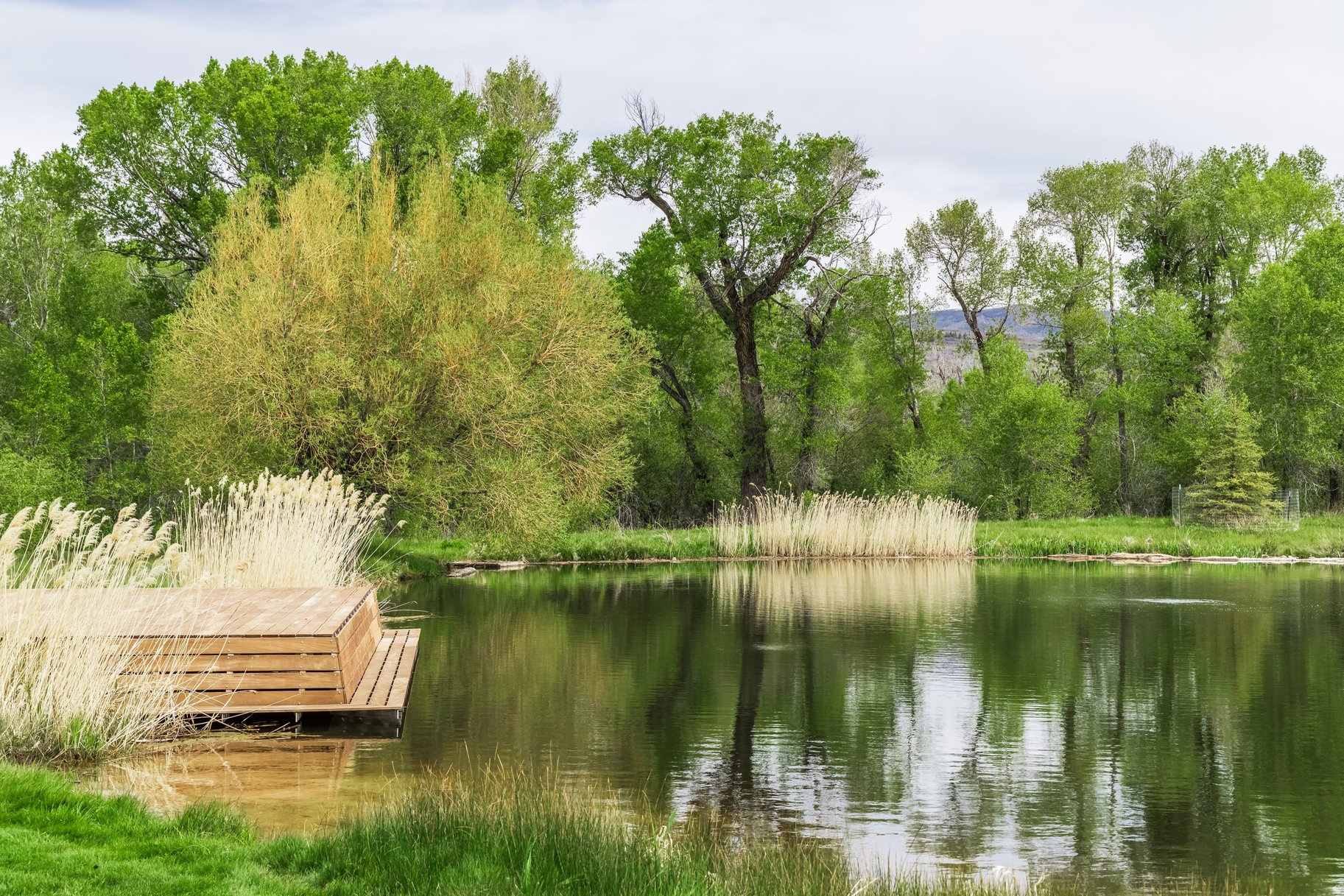 OAKLEY TOWN (BOULDERVILLE) - Residential