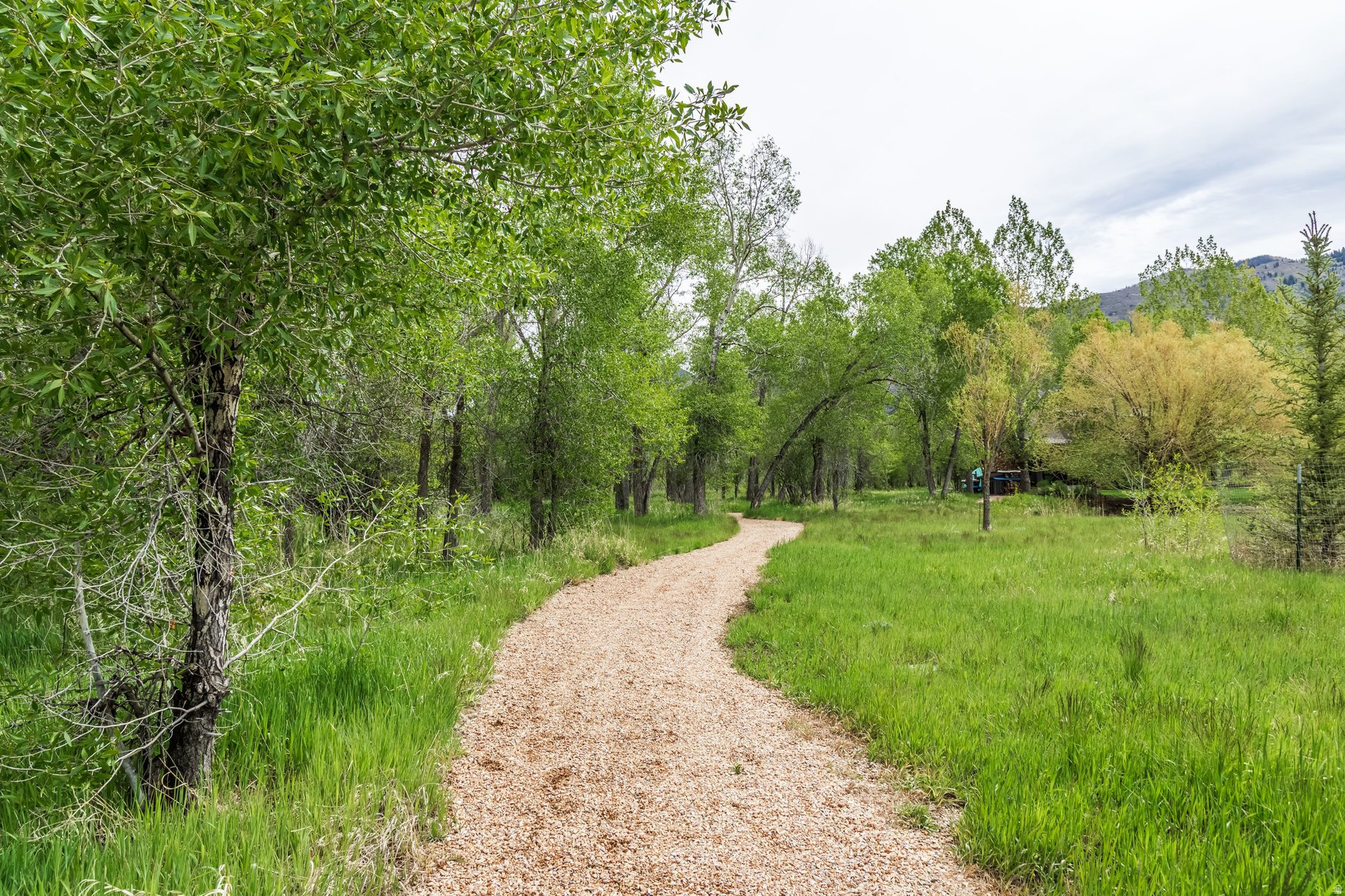 OAKLEY TOWN (BOULDERVILLE) - Residential