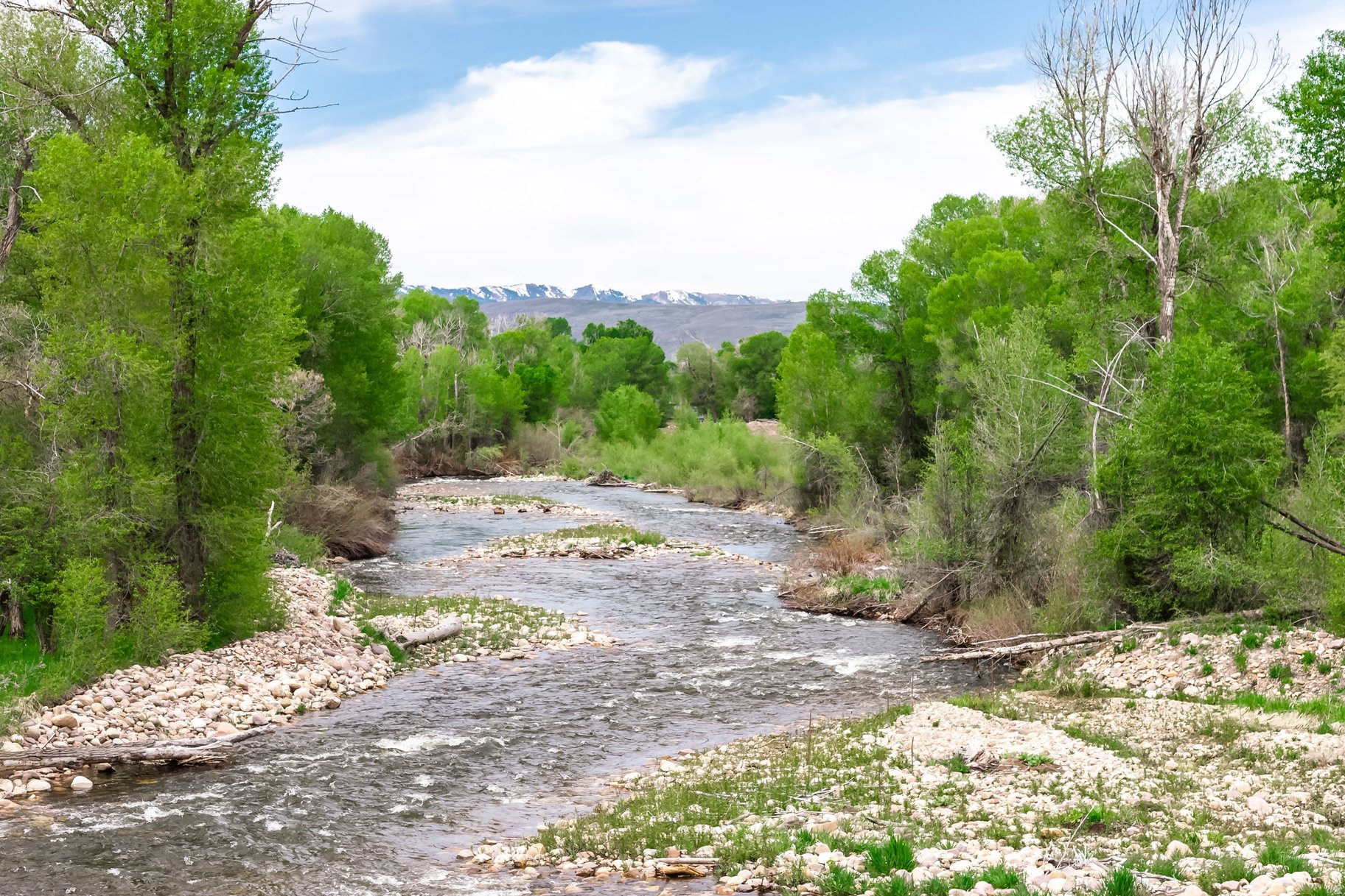 OAKLEY TOWN (BOULDERVILLE) - Residential