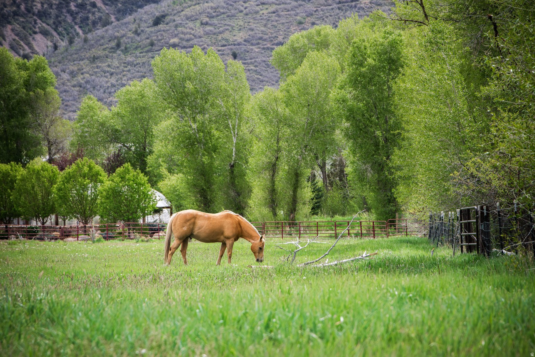 OAKLEY TOWN (BOULDERVILLE) - Residential
